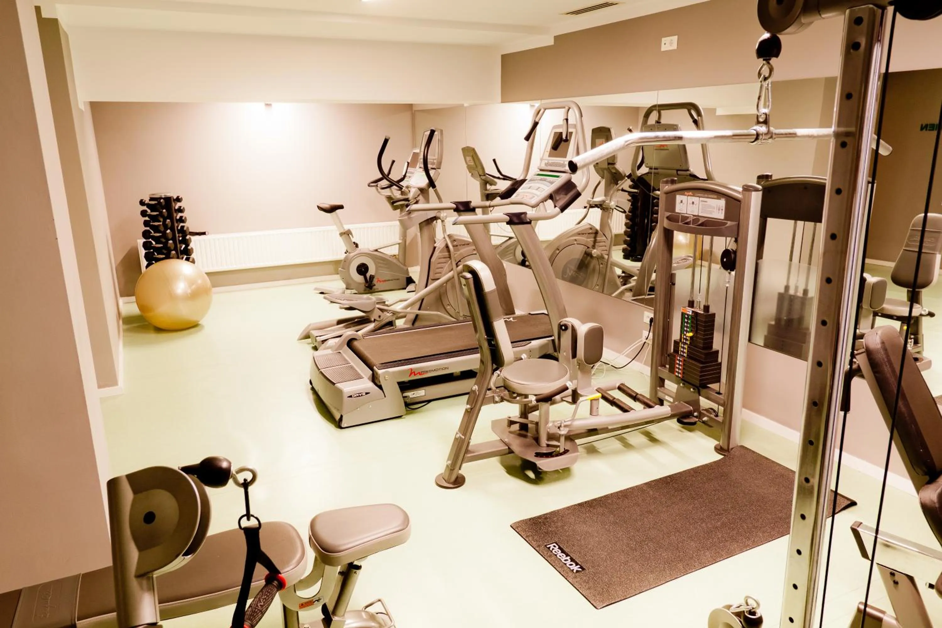 Fitness centre/facilities in Golden Tulip Ana Dome Hotel