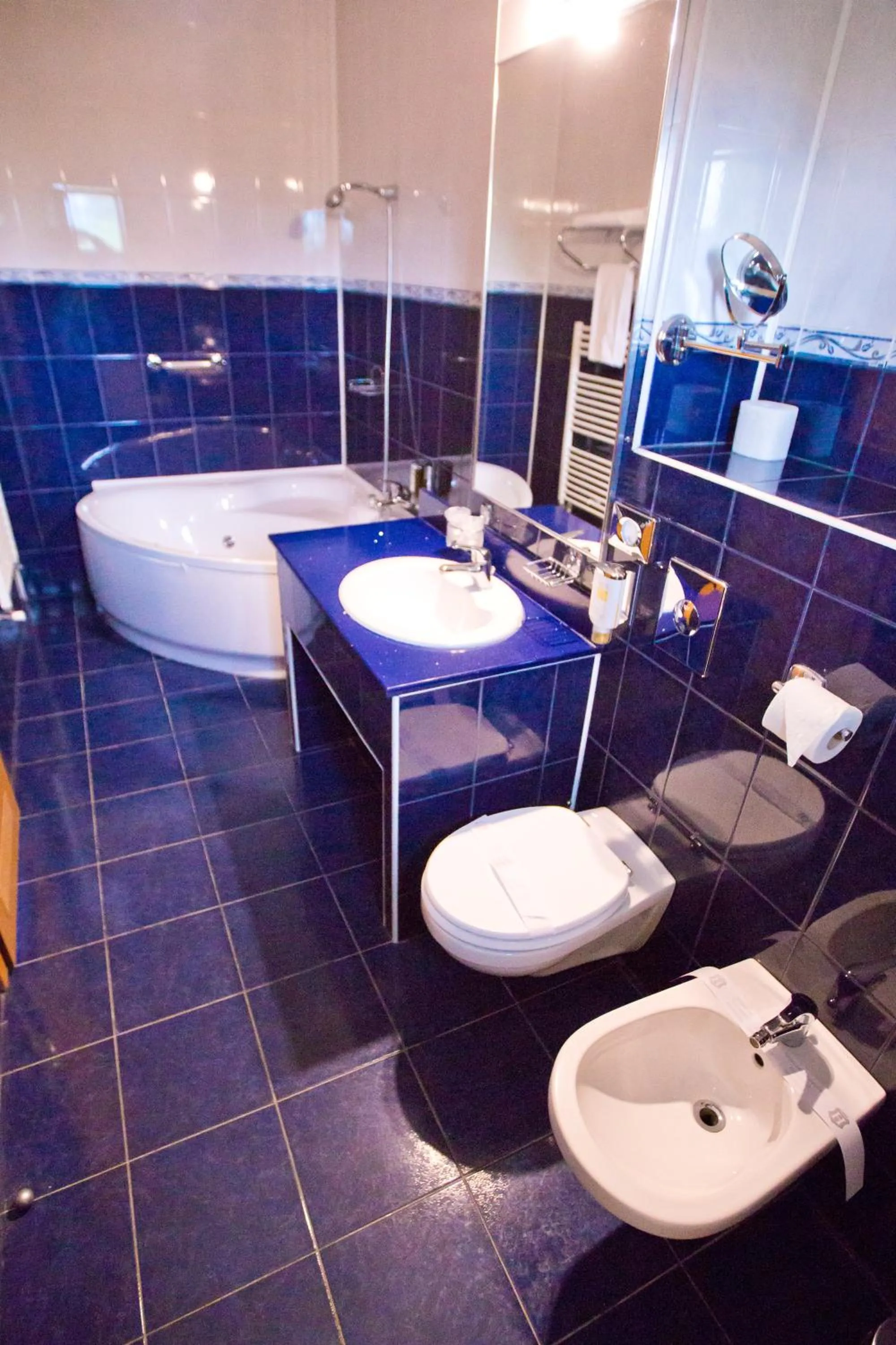 Toilet in Hotel Piemonte