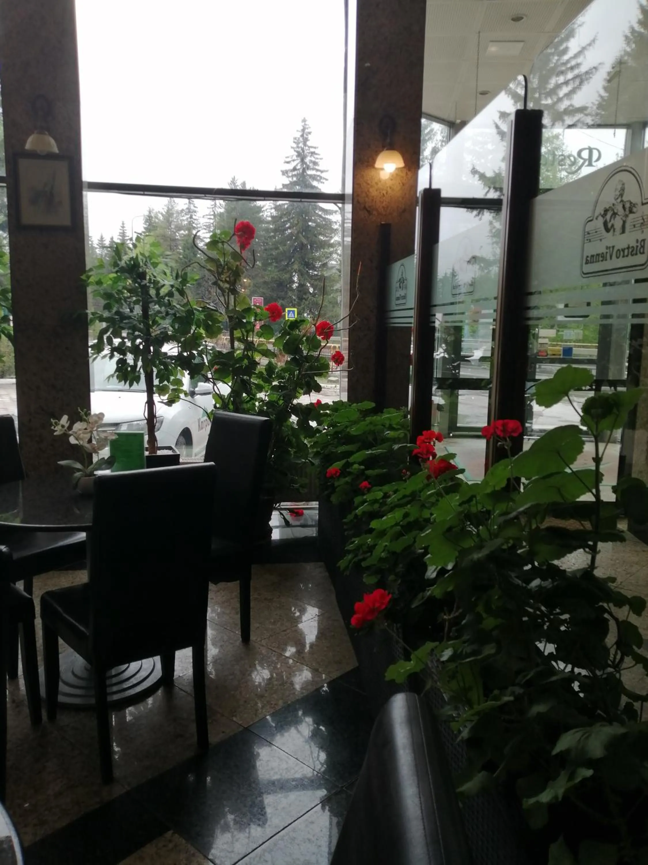 Lounge or bar in Hotel Piemonte