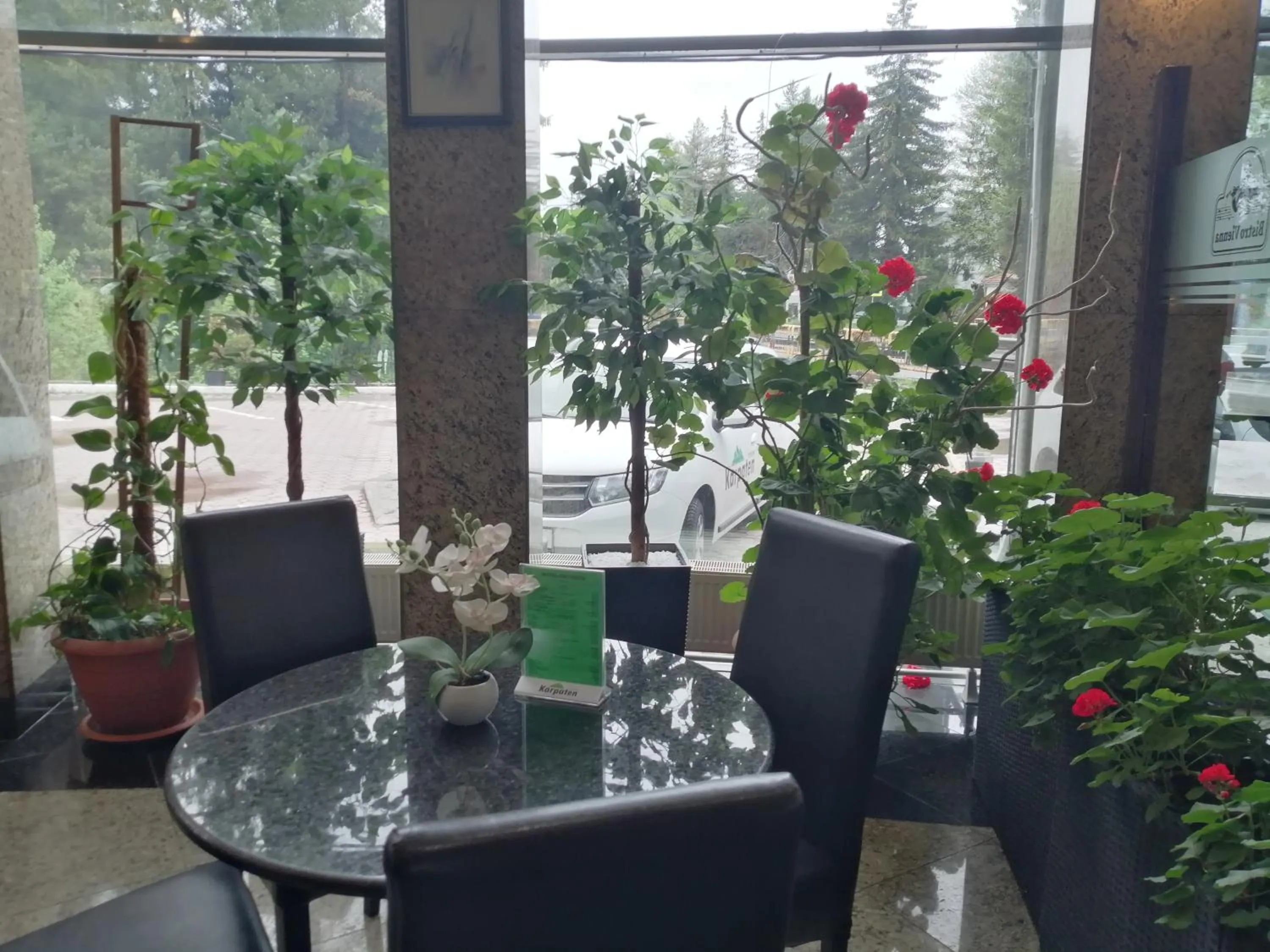 Lounge or bar in Hotel Piemonte