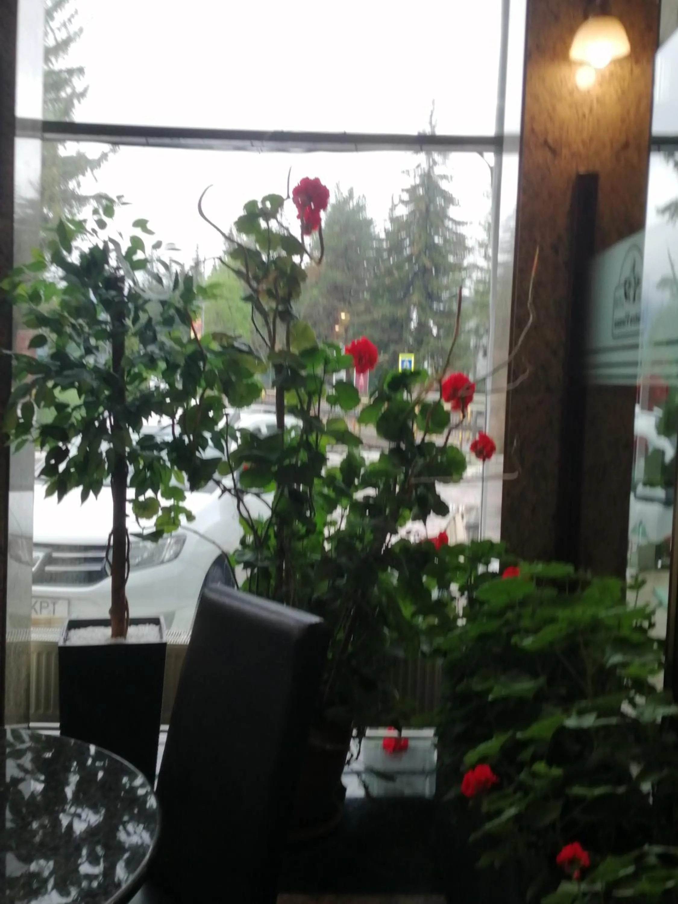 Lounge or bar in Hotel Piemonte