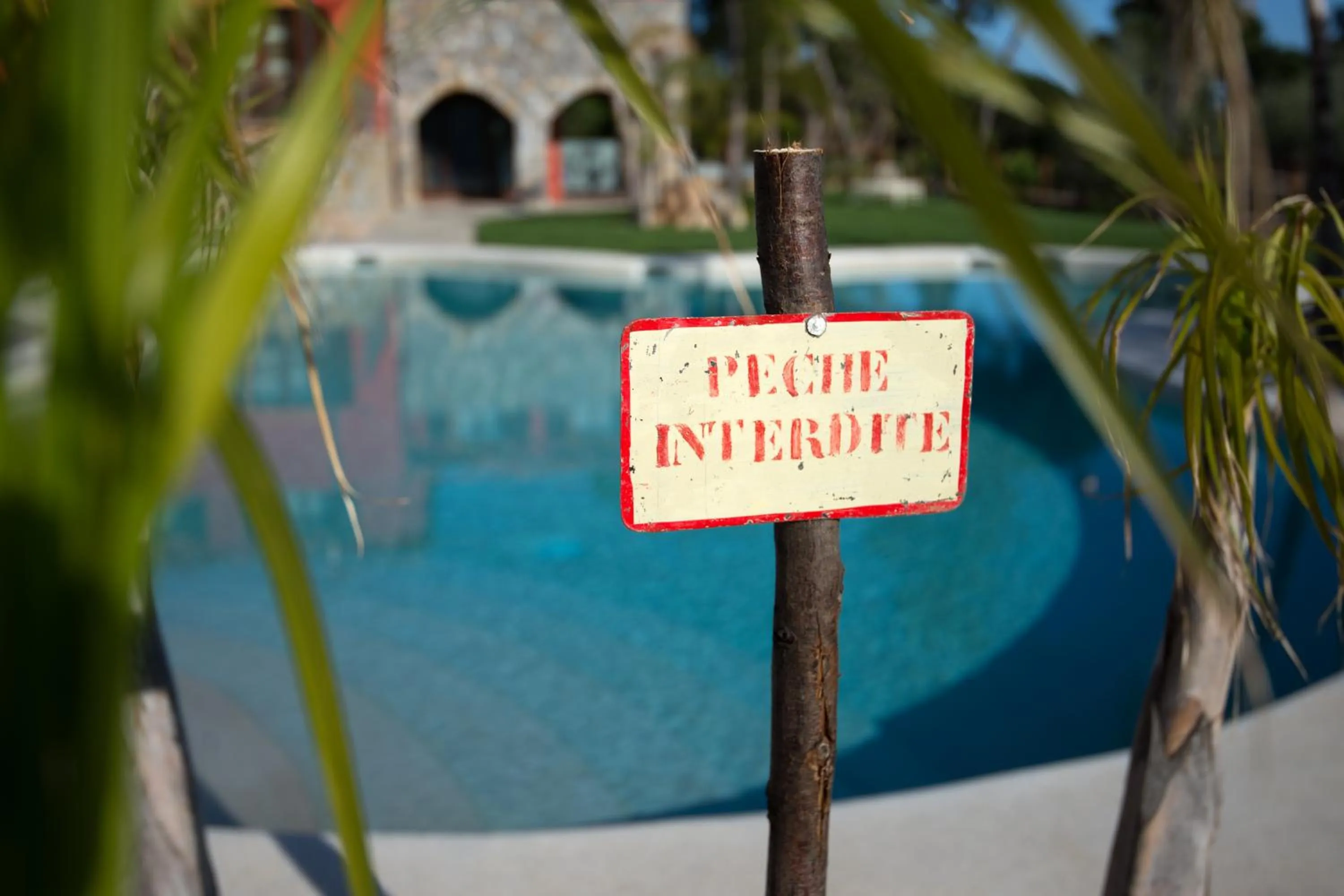 Decorative detail in Leonardo Resort