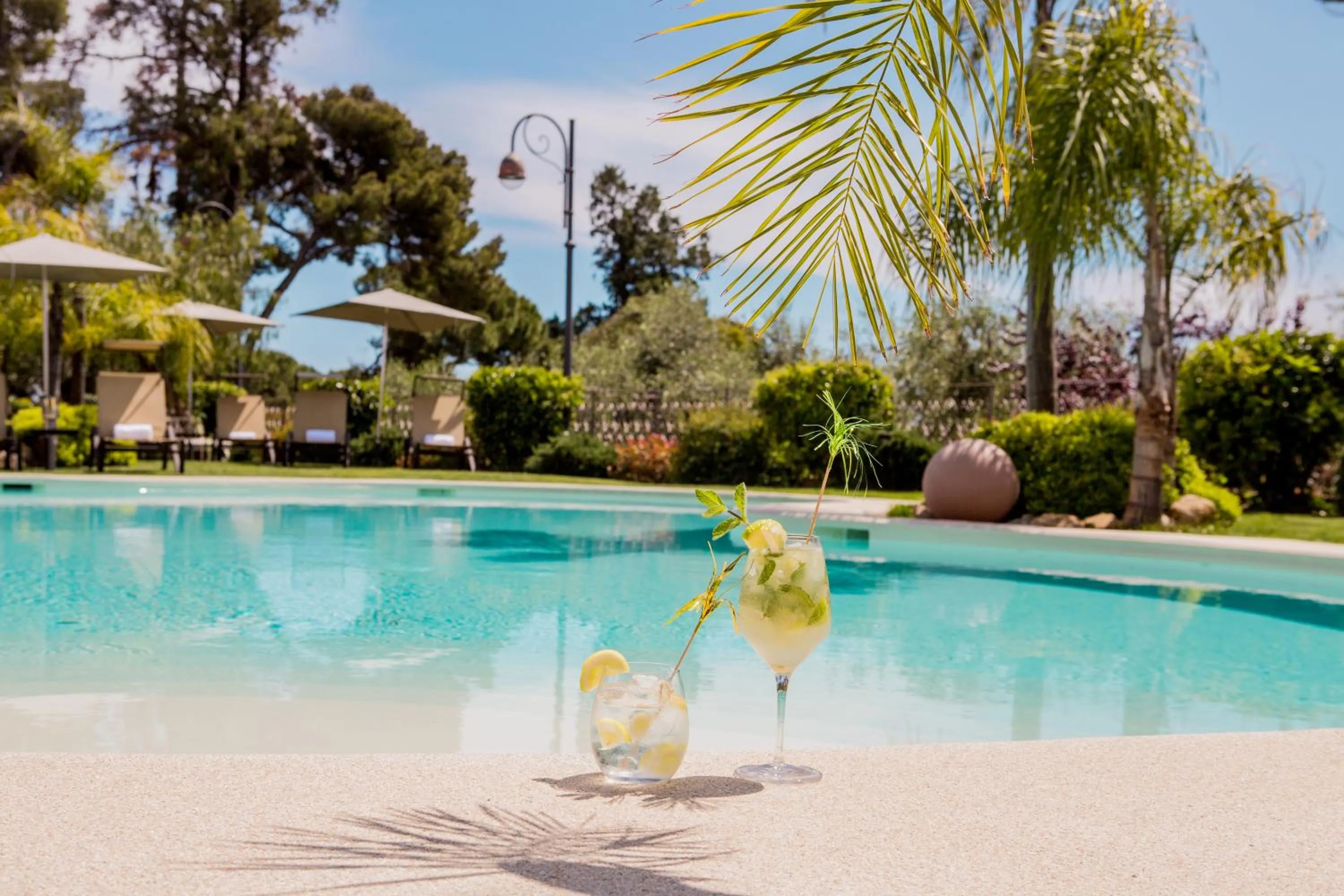 Food and drinks in Leonardo Resort