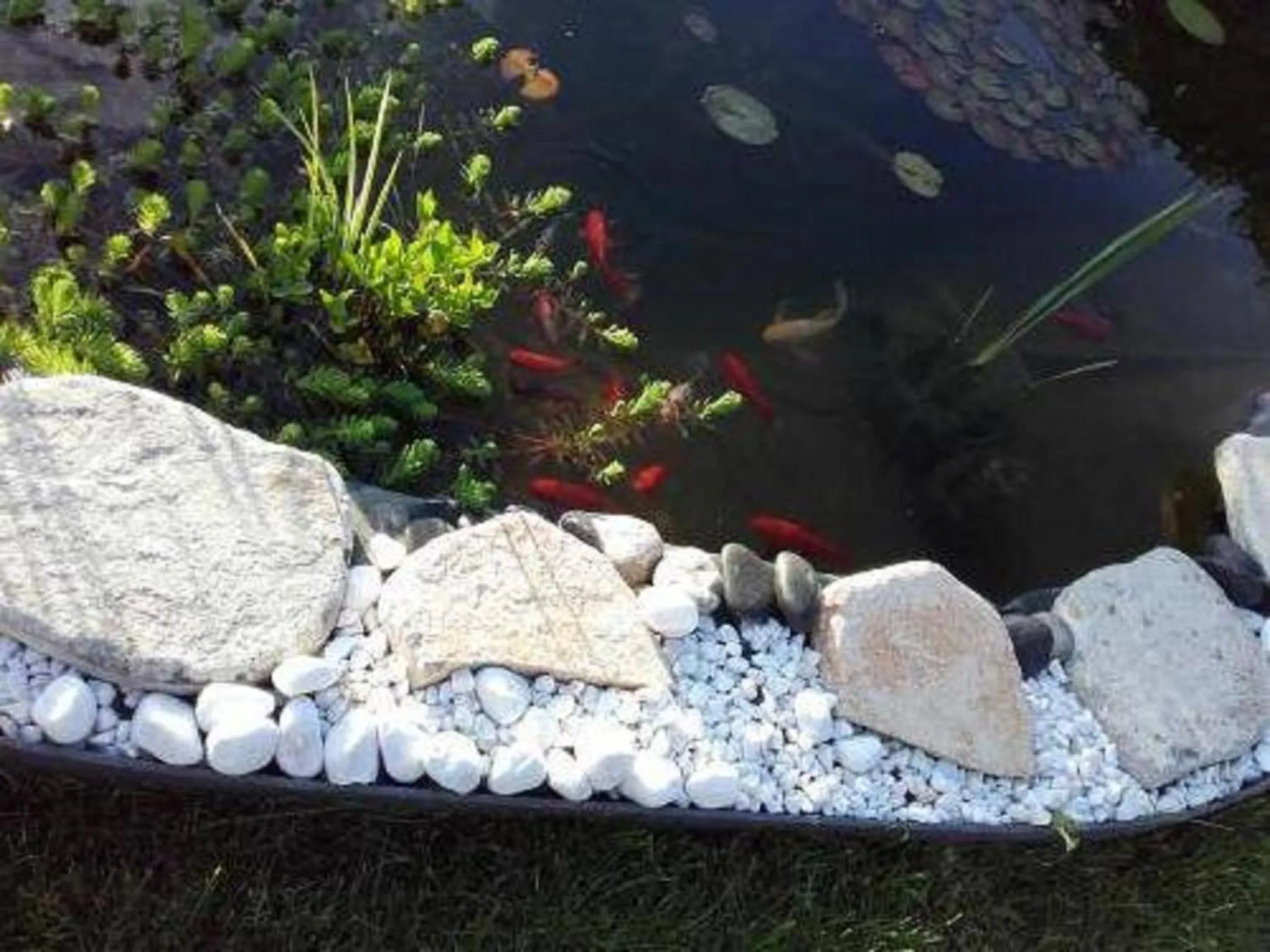 Garden view in studios les Hortensias