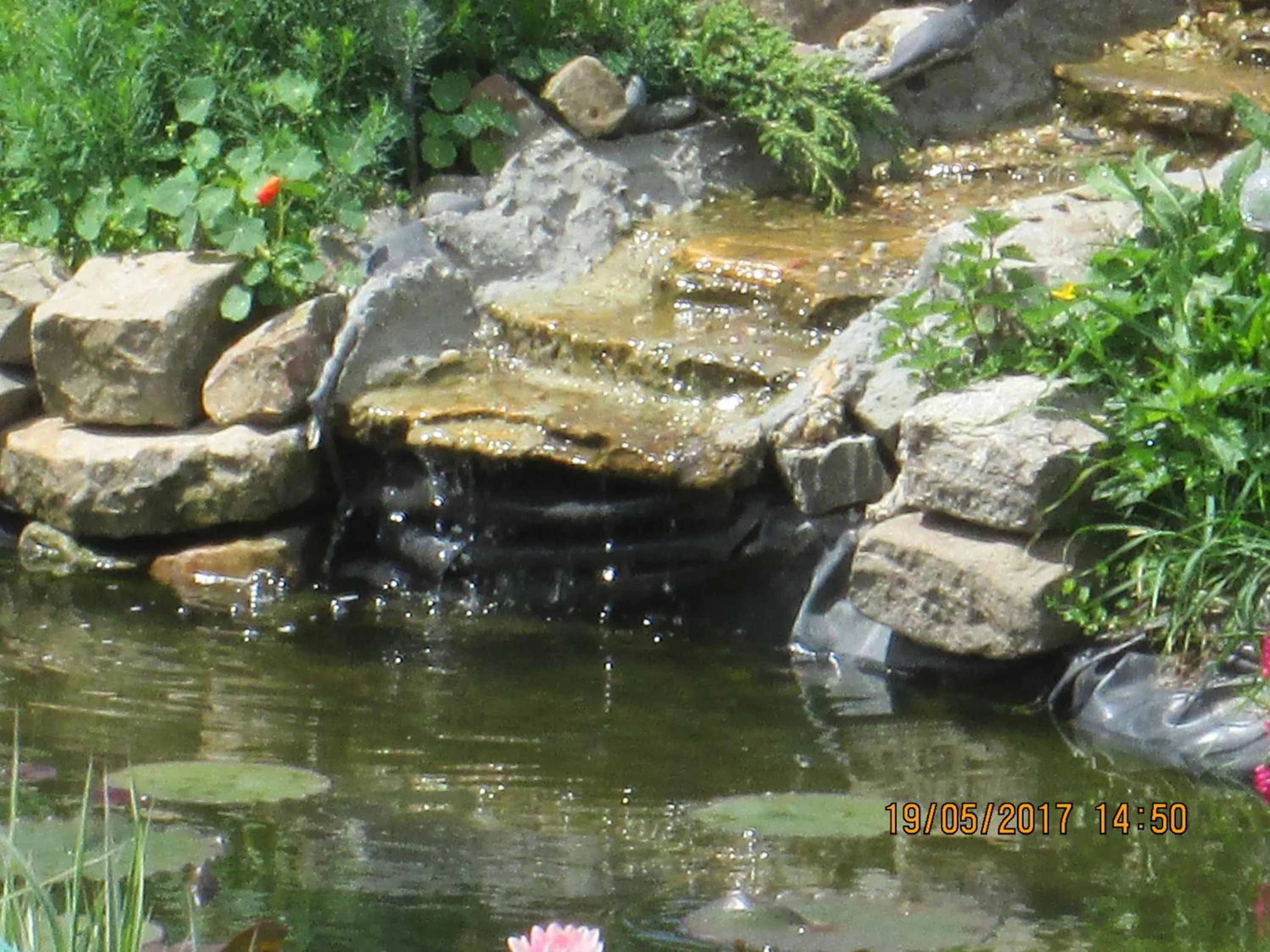 Garden view in studios les Hortensias