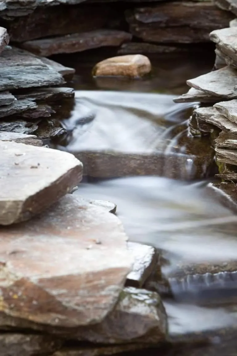 studios les Hortensias
