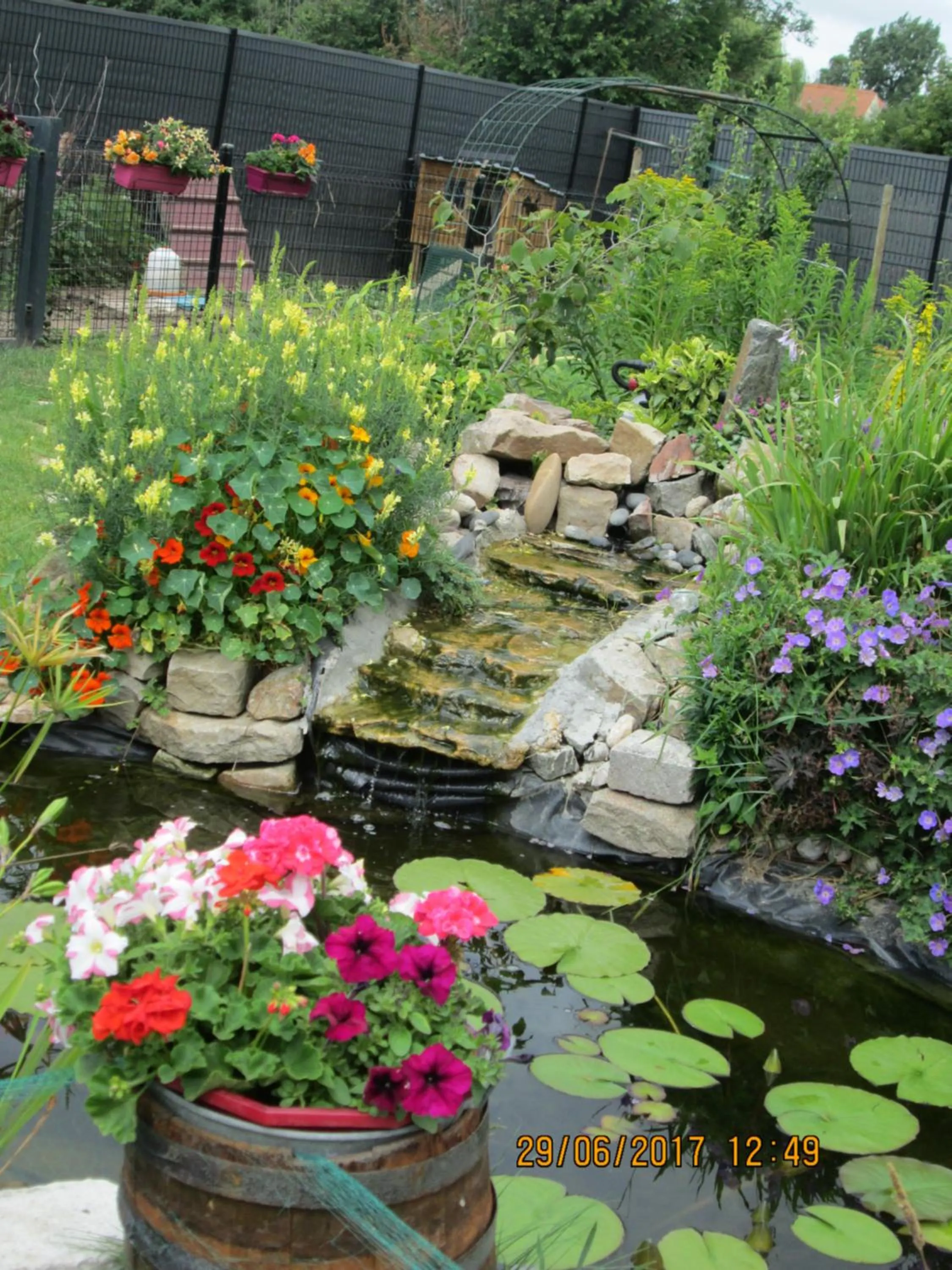 Garden view in studios les Hortensias