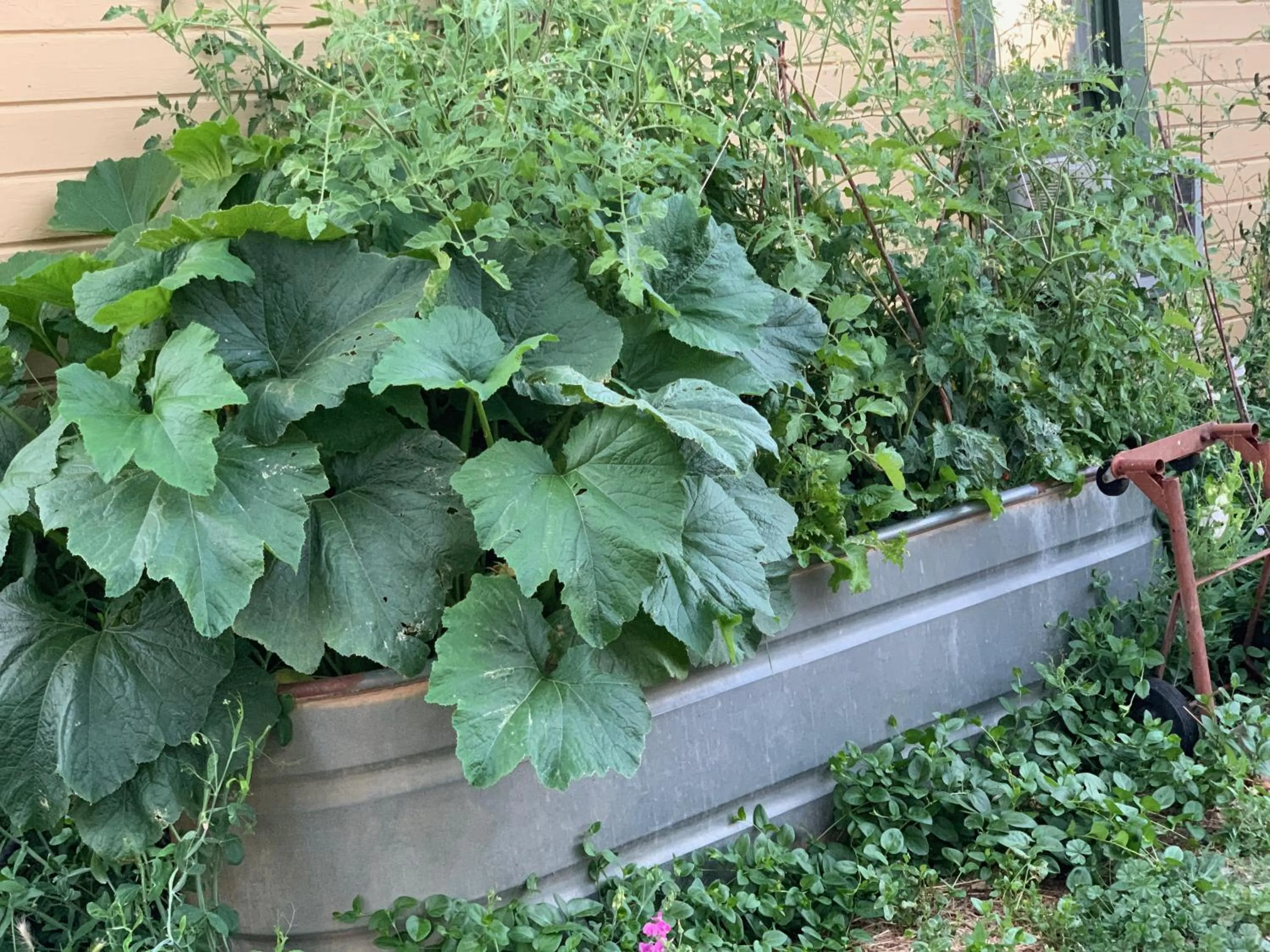 Priest Station Cafe & Cabins