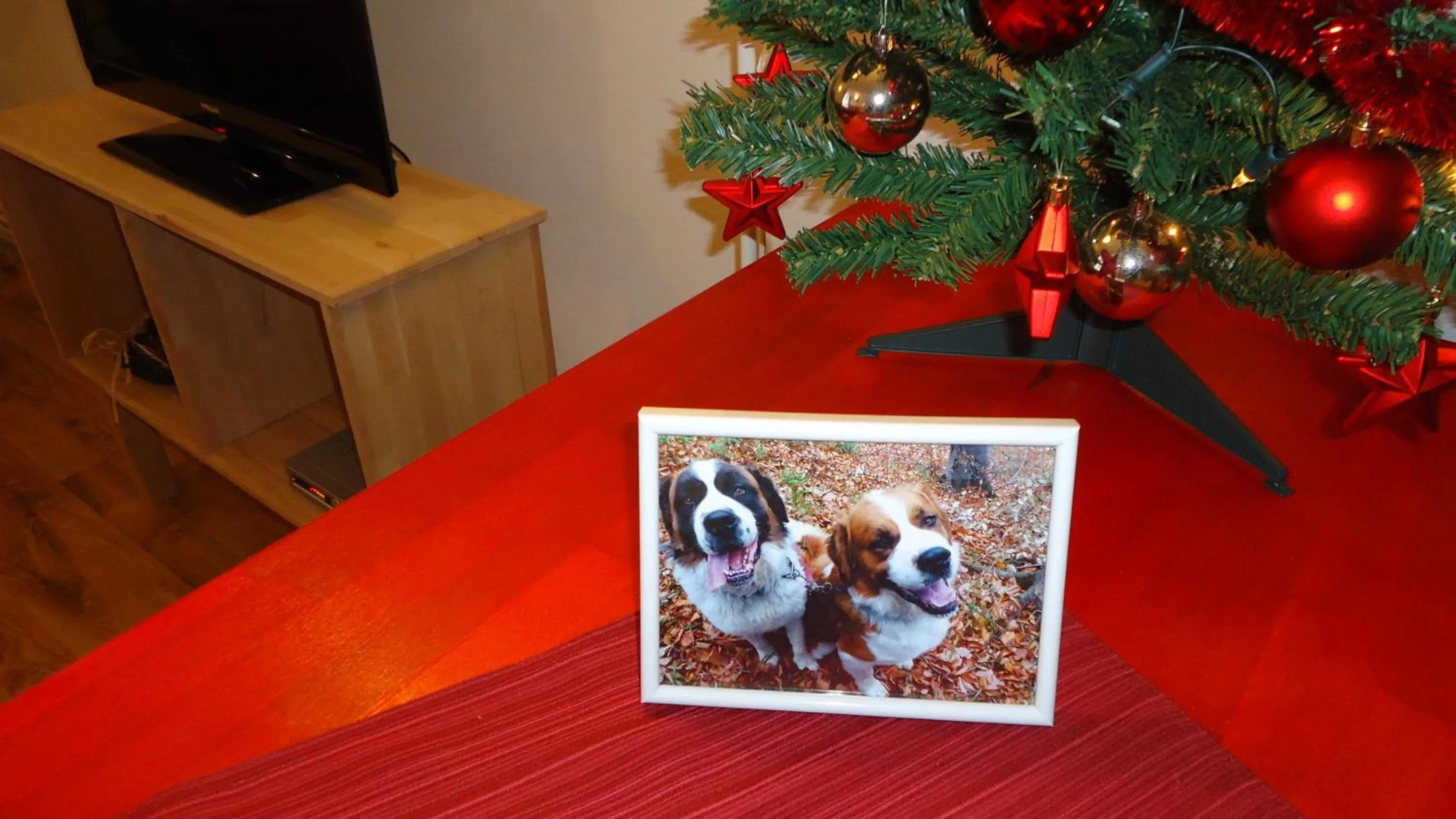 Decorative detail in Ezio House