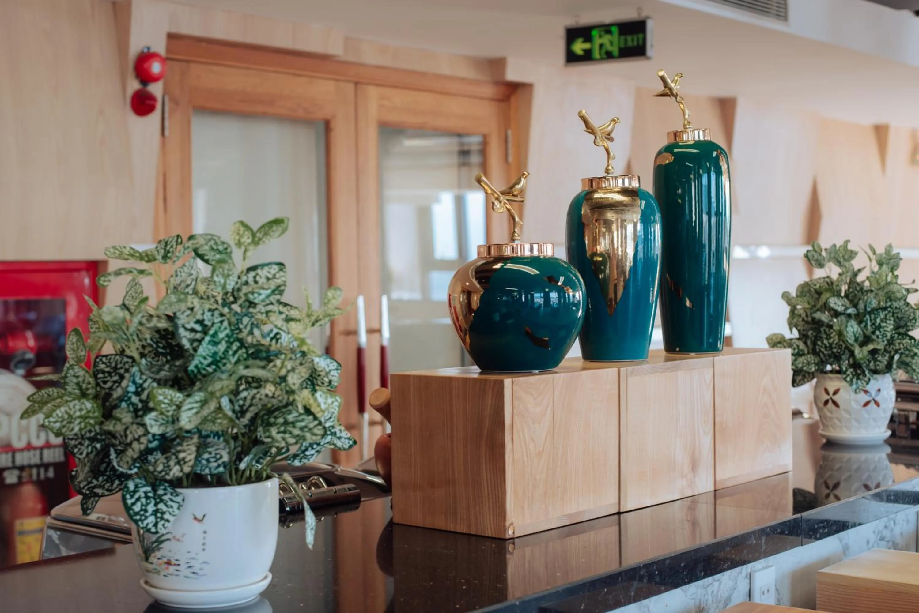 Restaurant/places to eat in Danaciti Hotel