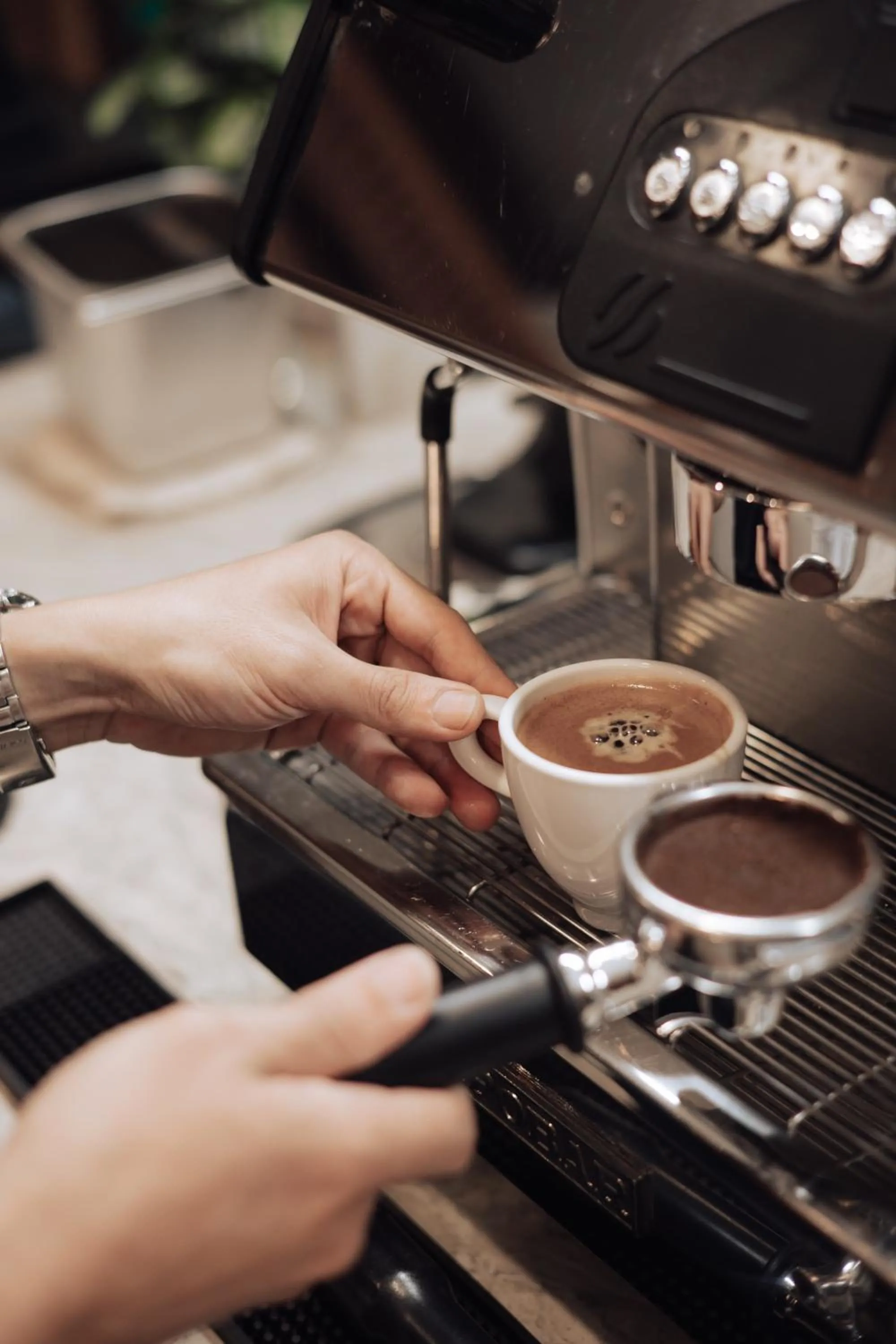 Food and drinks in Danaciti Hotel