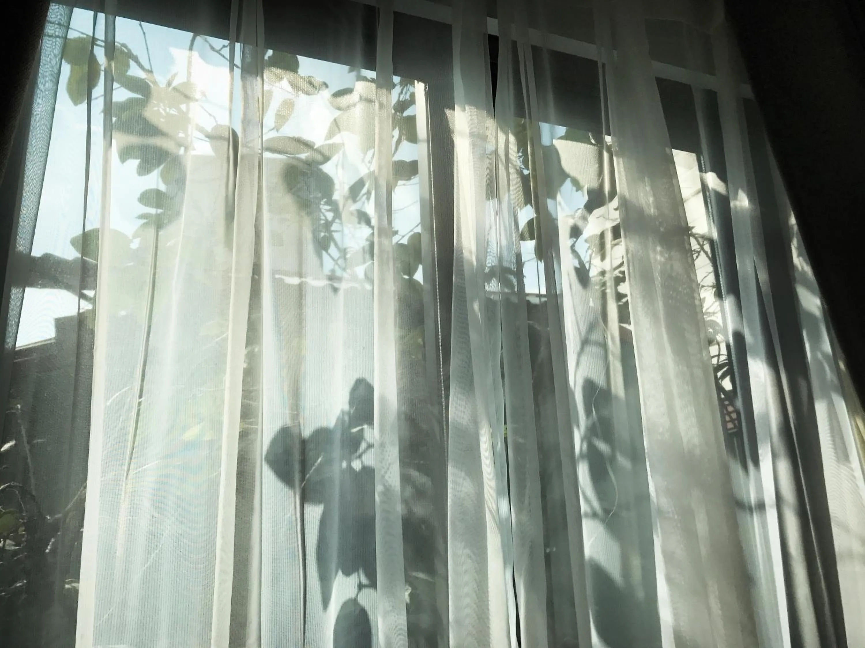 Bird's eye view in An Nguyen Boutique Hotel