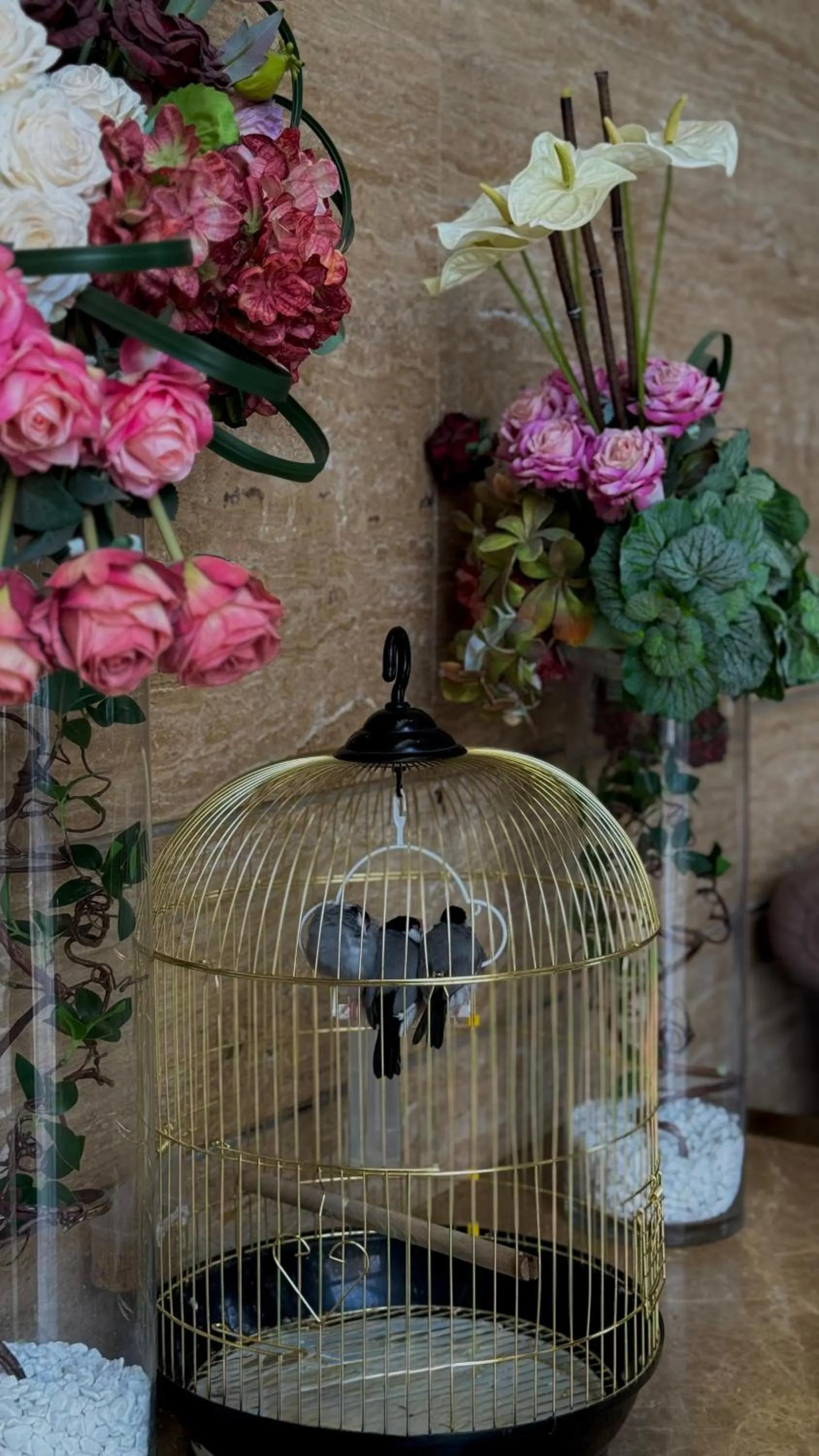 Lobby or reception in Afraa Hotel