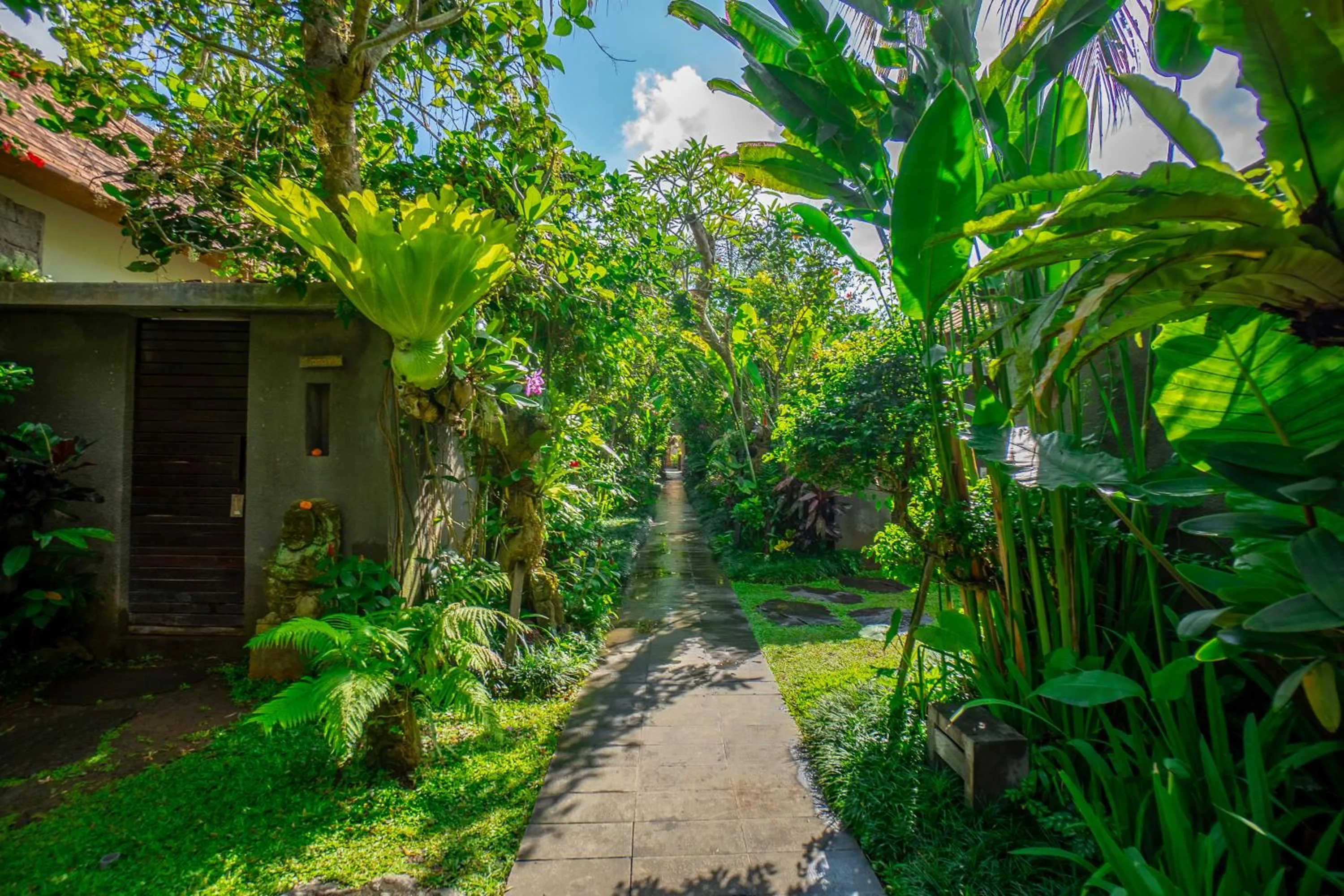 Garden in Purana Boutique Resort