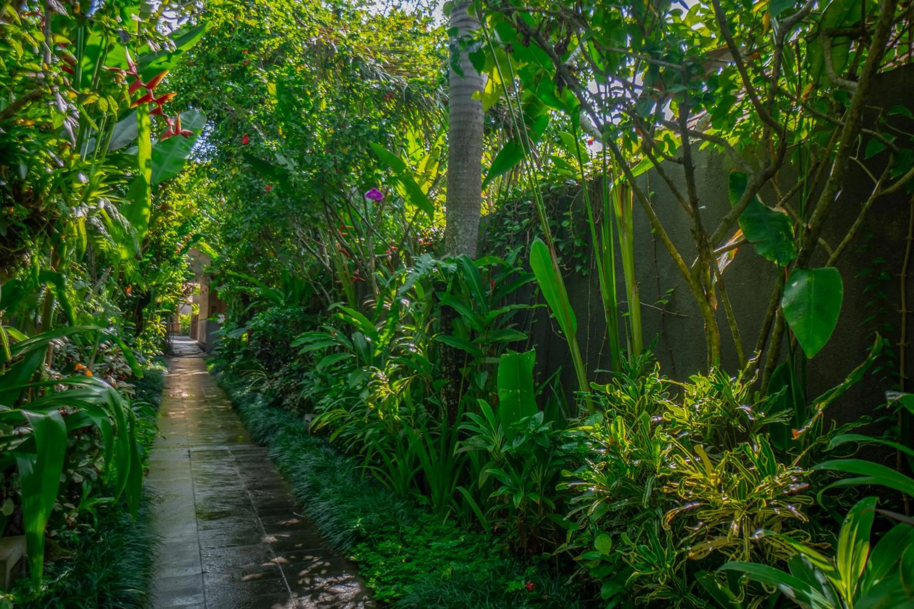 Garden view in Purana Boutique Resort