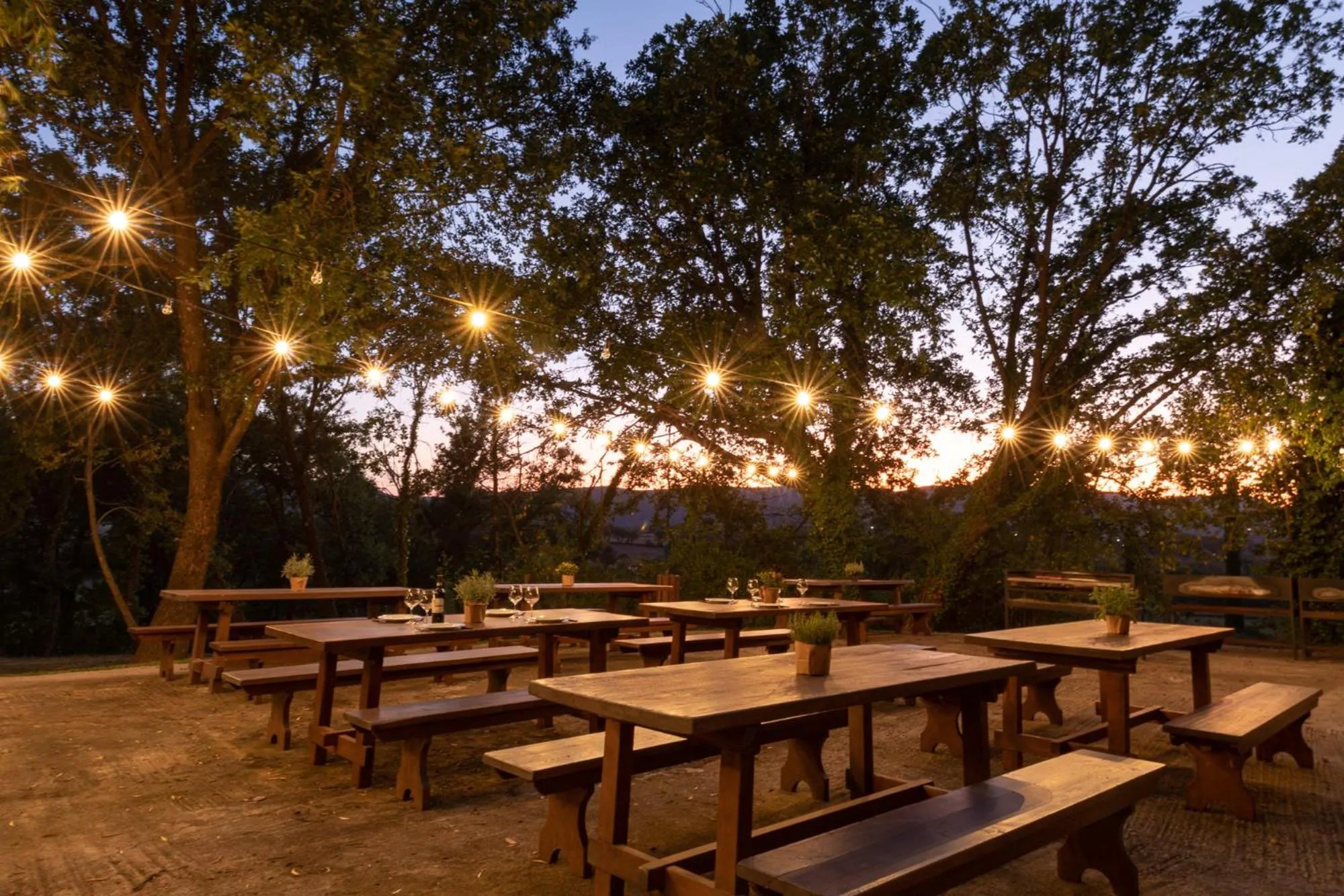 Restaurant/places to eat in Borgo San Lorenzo a Linari