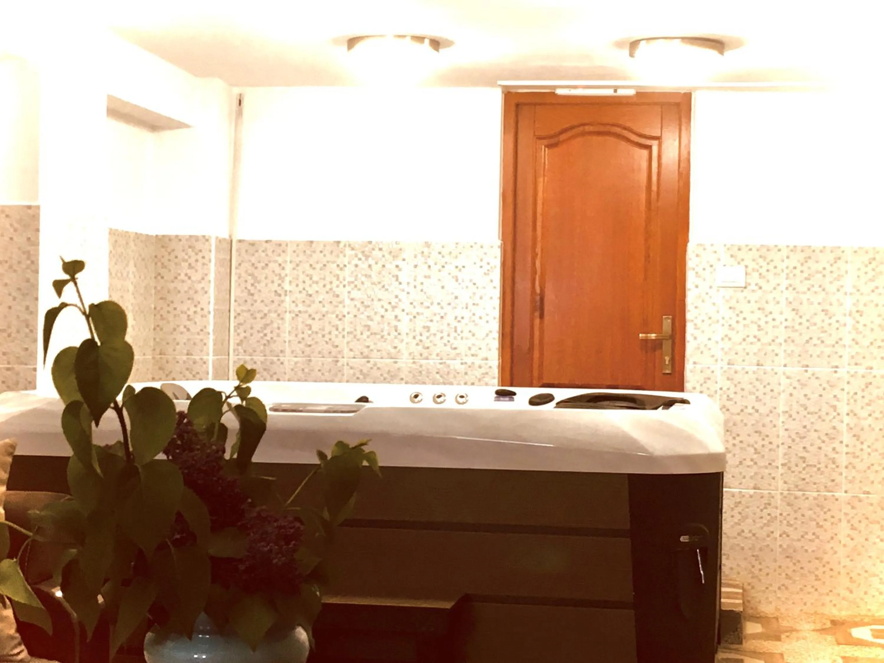 Swimming pool in Leaganul Bucovinei Guest House