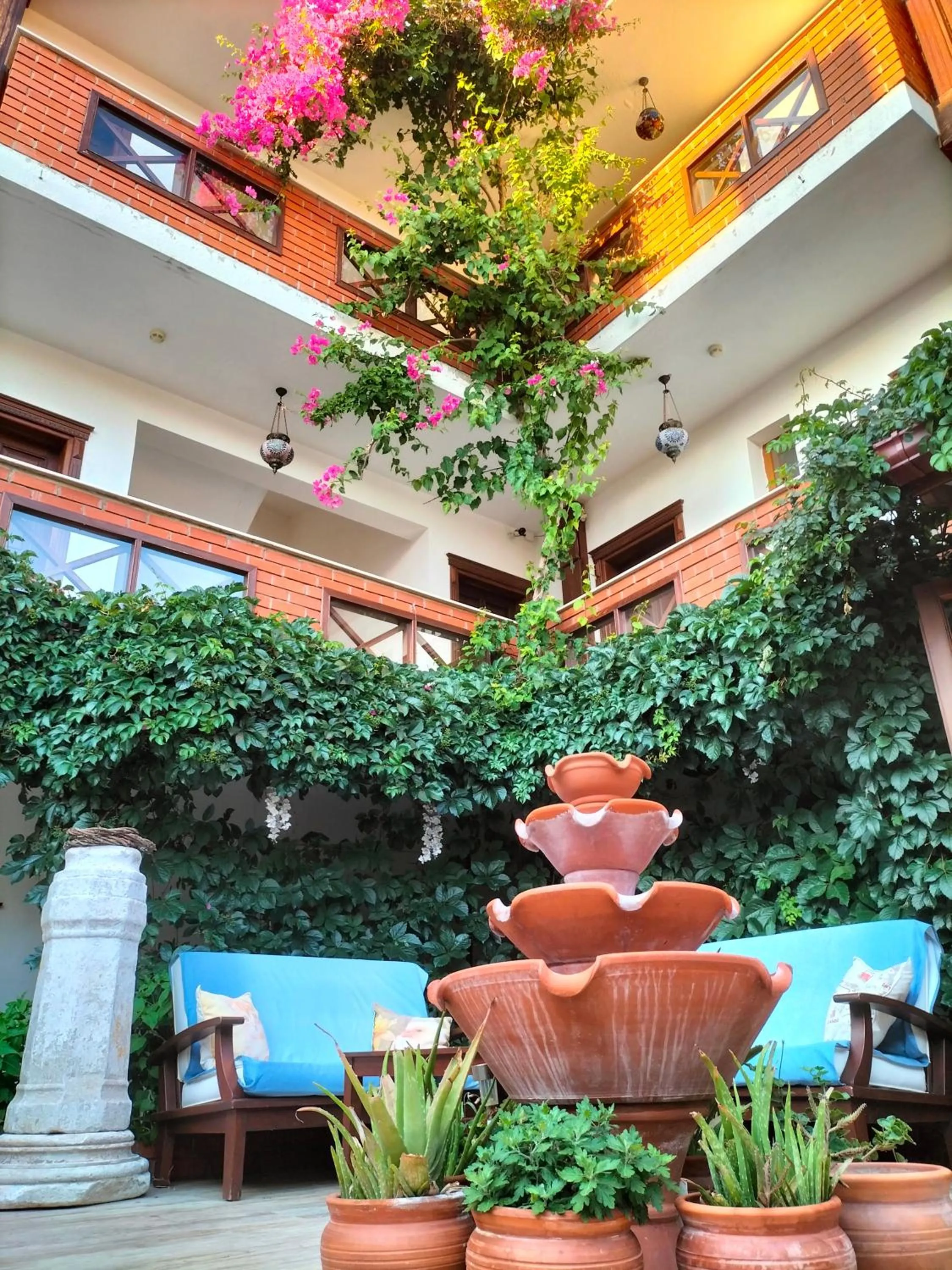 Patio in Hotel Mary's House