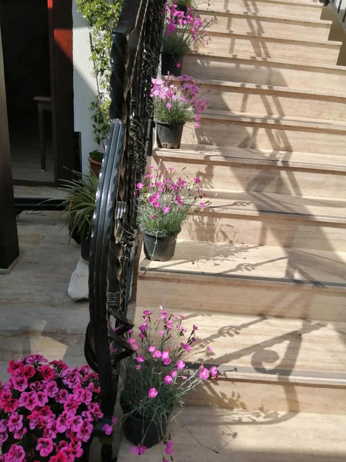 Garden in Hotel Mary's House