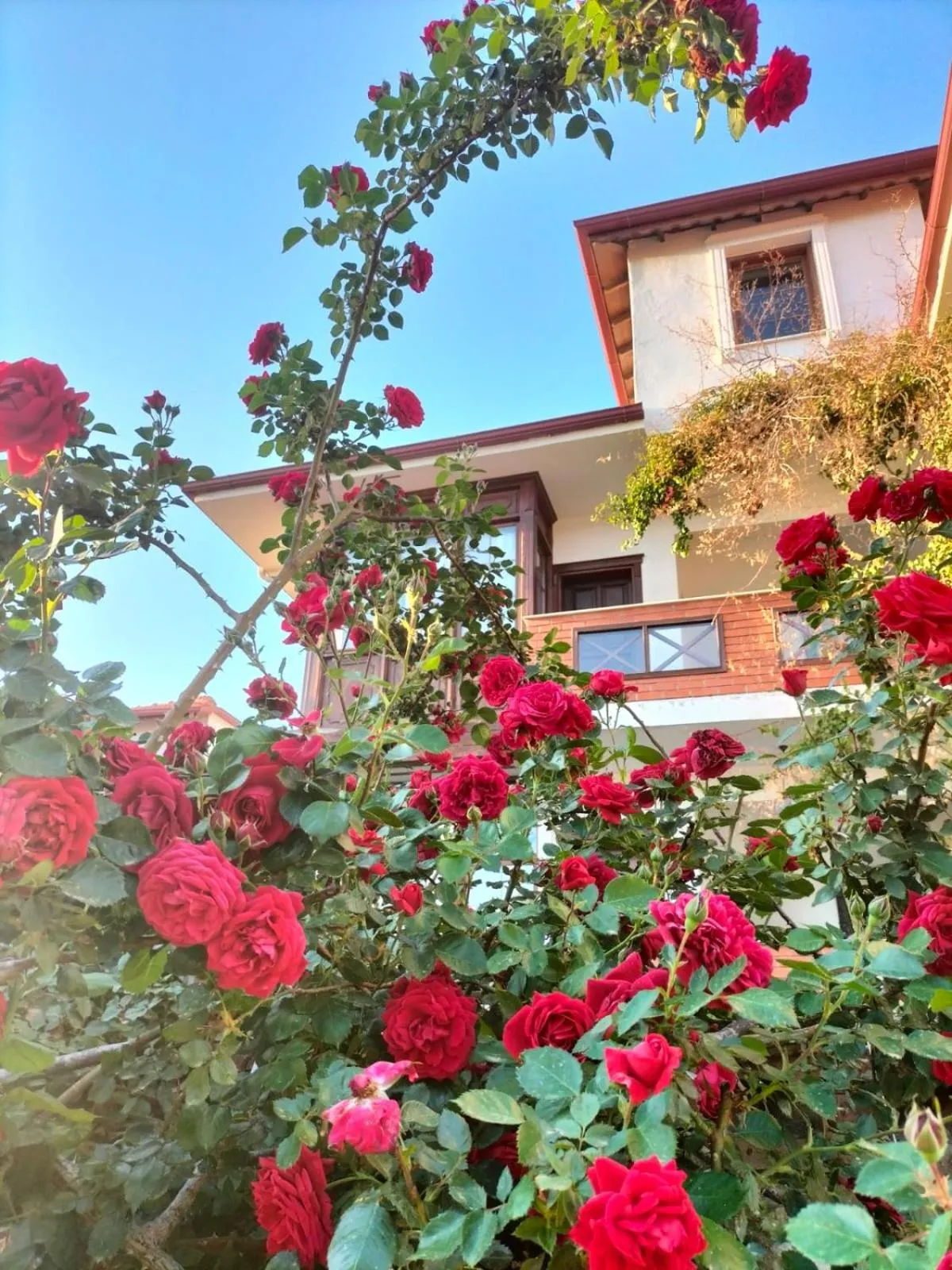 Property building in Hotel Mary's House