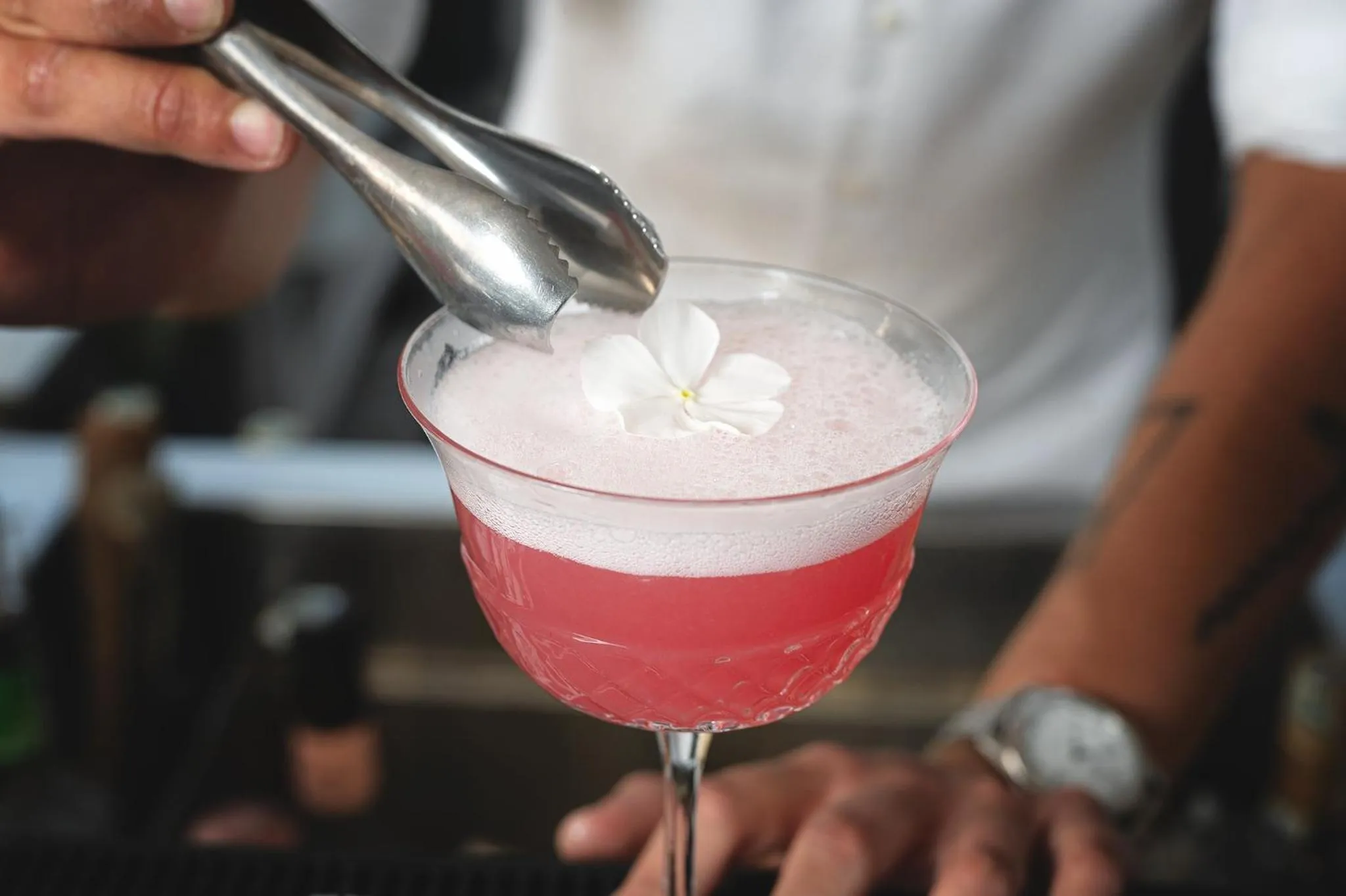 Lounge or bar in Ziolì