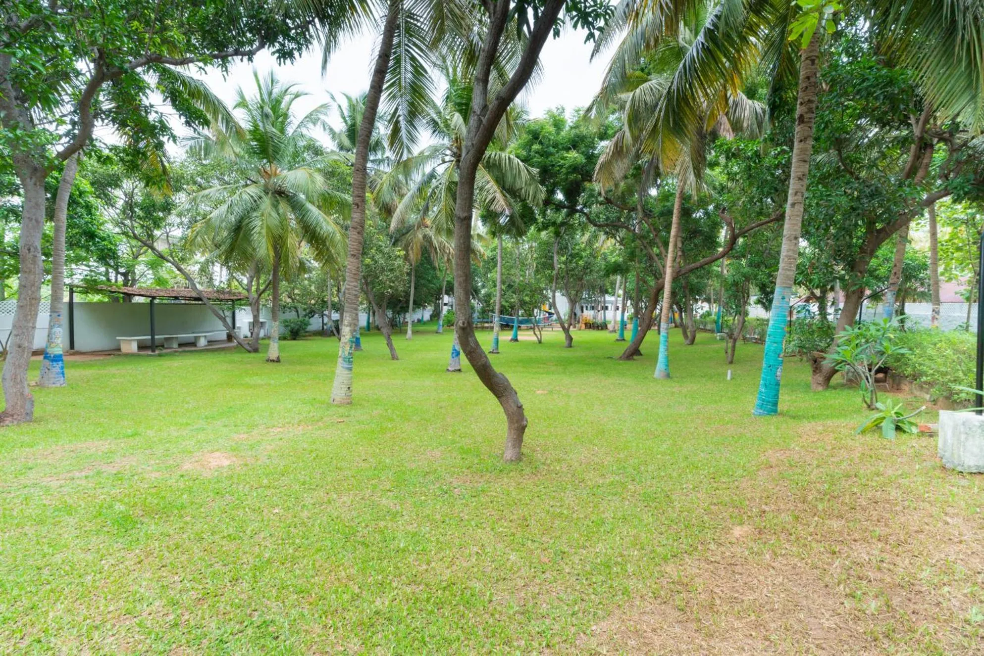 Garden in Shelter Beach Resort