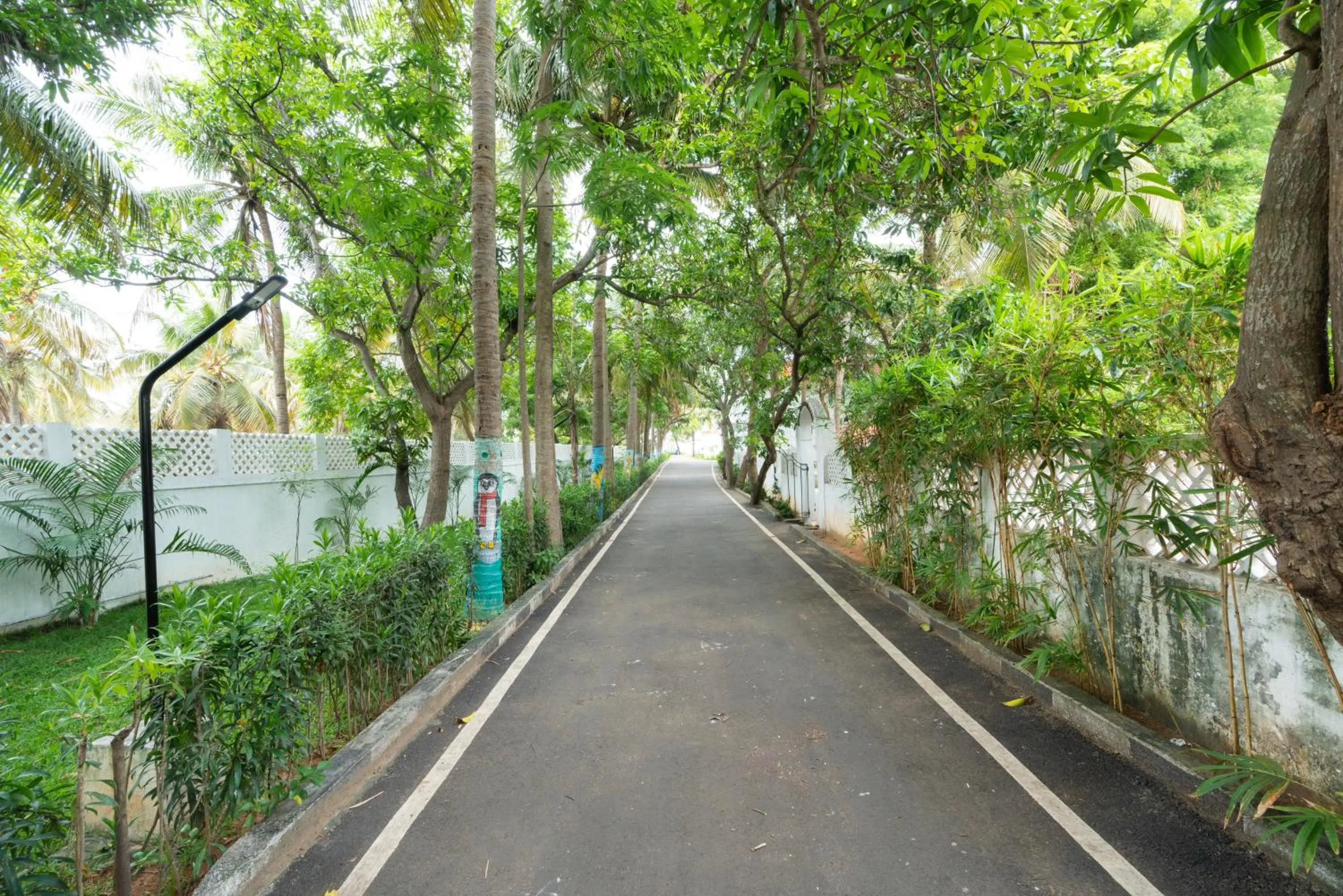 Natural landscape in Shelter Beach Resort