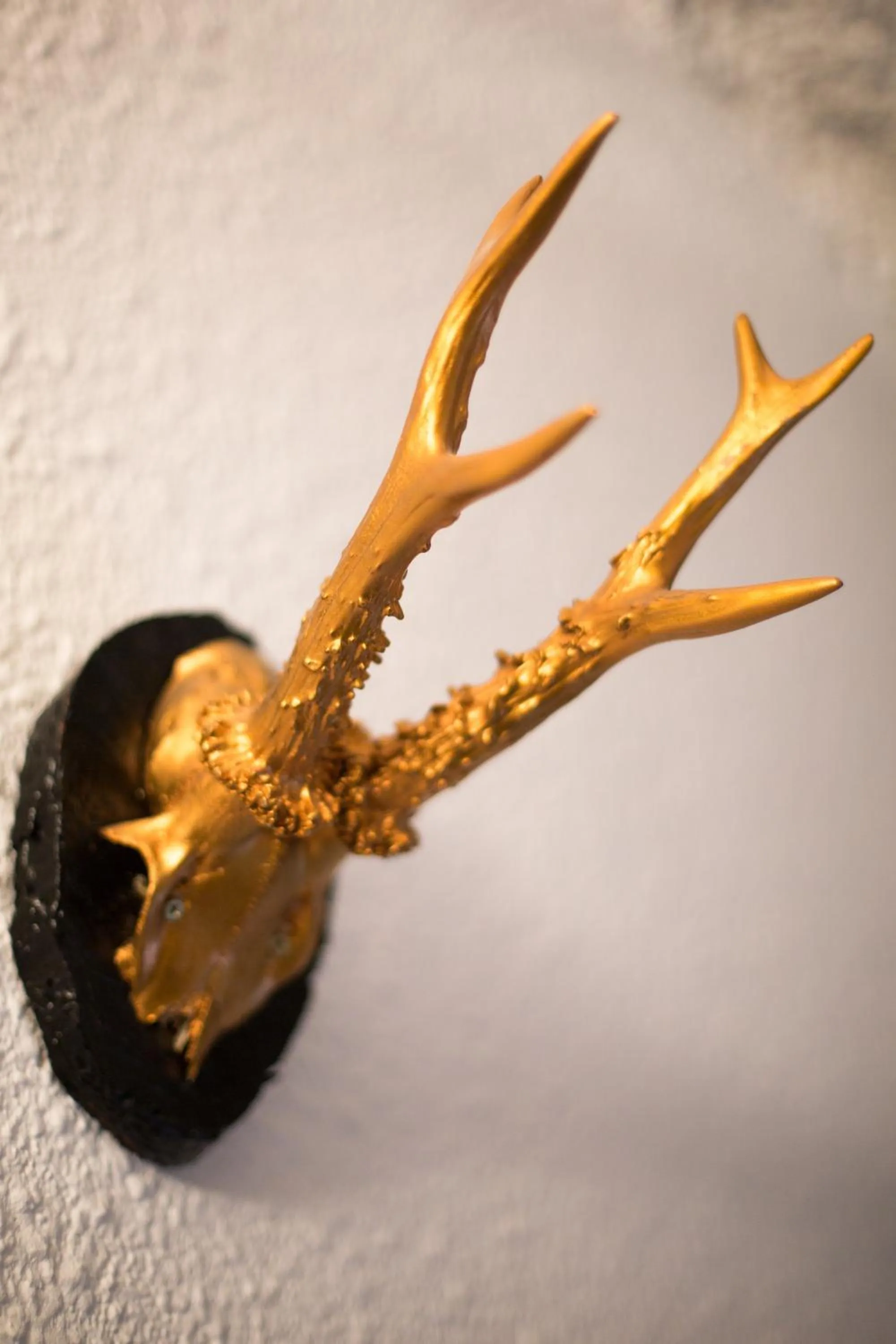 Decorative detail in Hostal Cisco de Sans