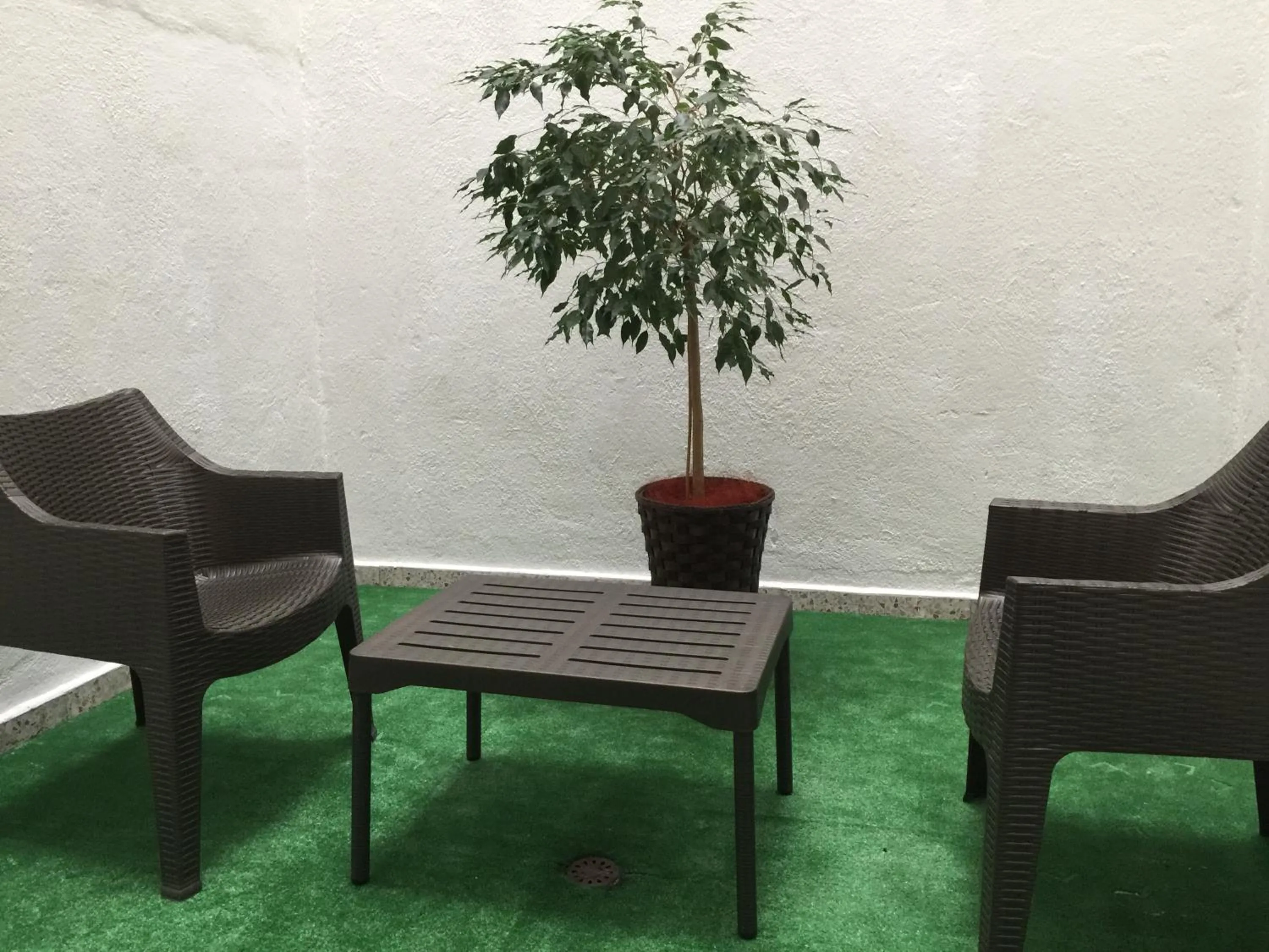 Patio in Hotel Celanova