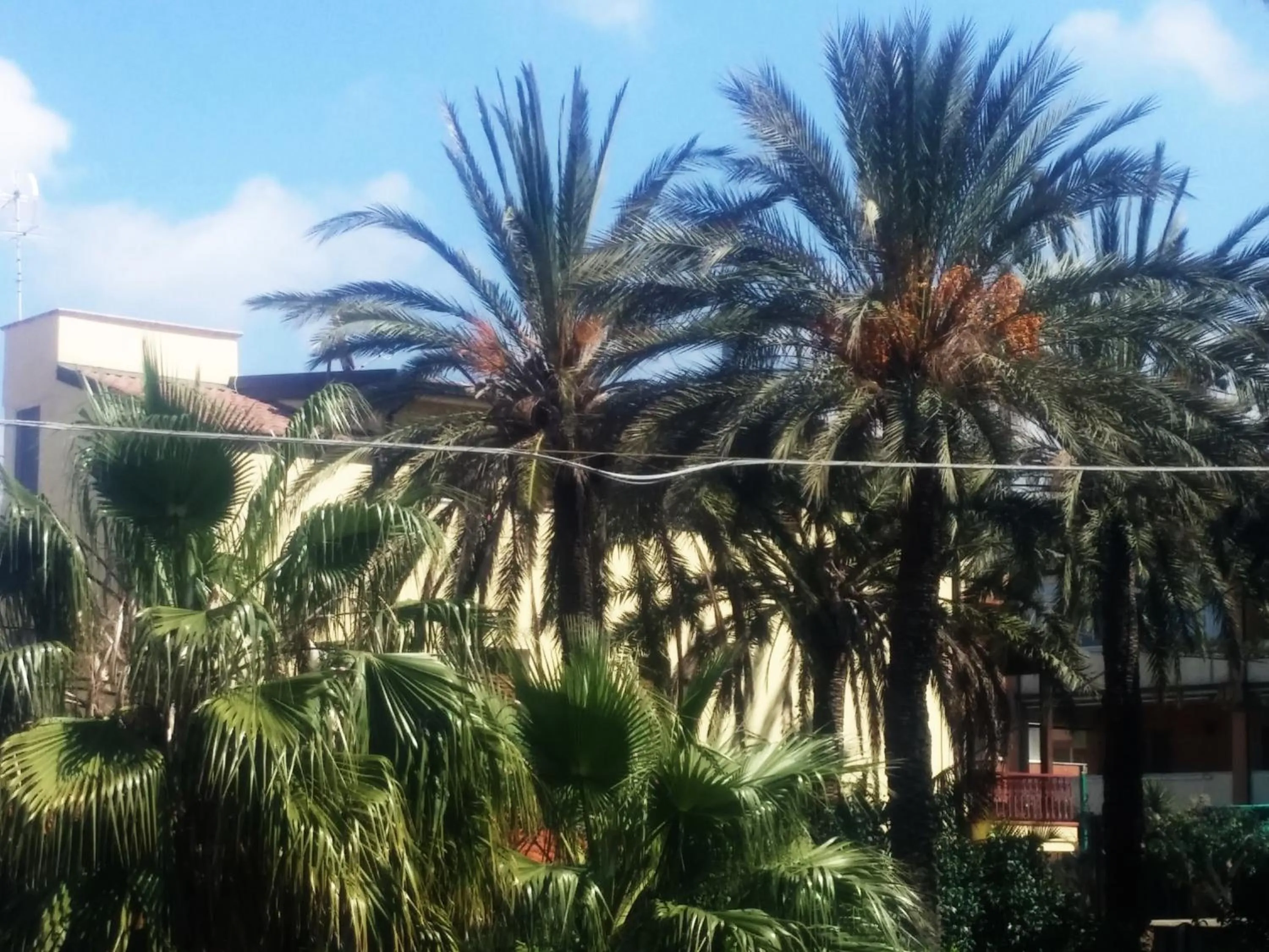 Garden view in B&B Le Ninfe