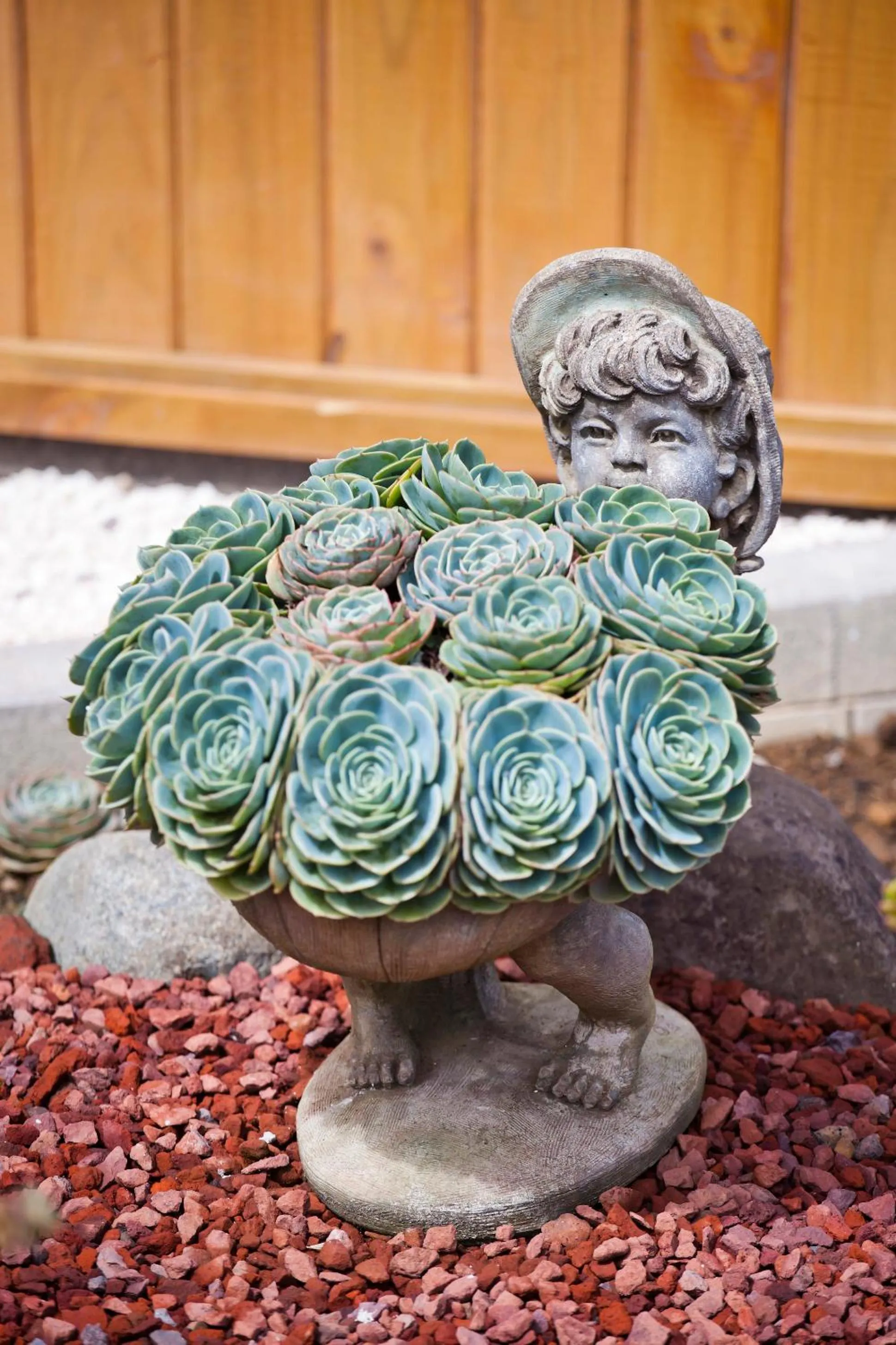 Garden in Savegre Hotel Natural Reserve & Spa