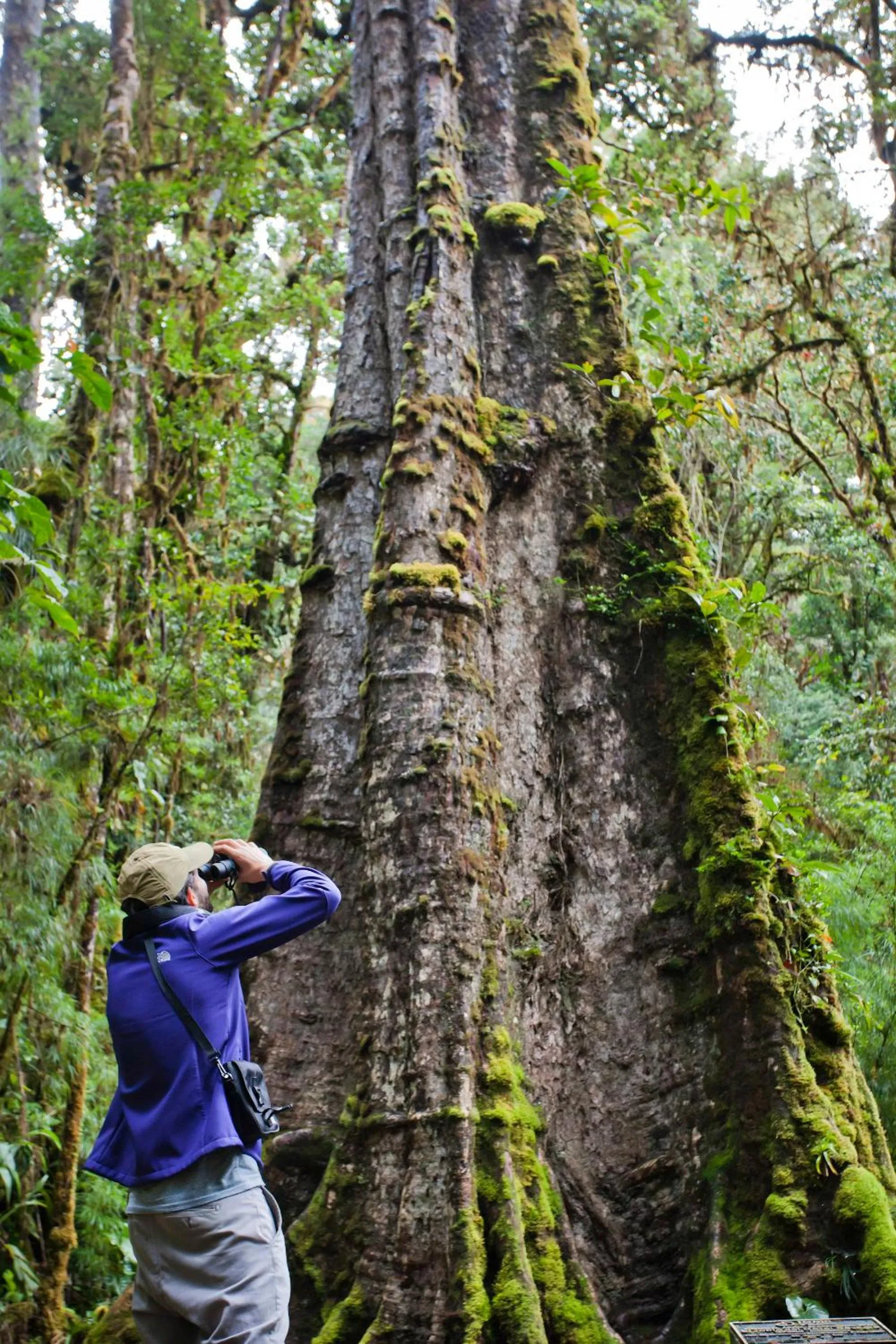 Hiking in Savegre Hotel Natural Reserve & Spa