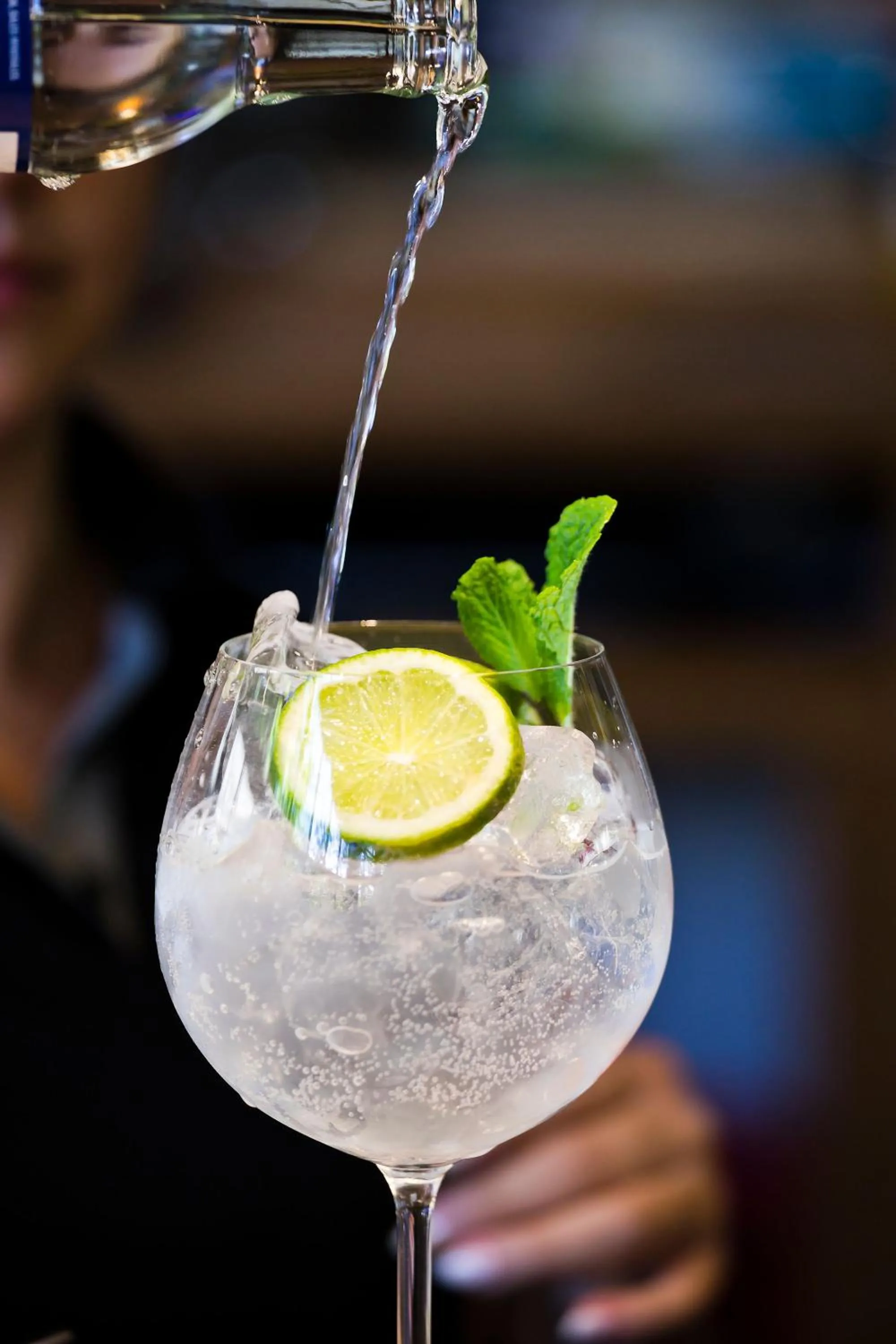 Lounge or bar in Savegre Hotel Natural Reserve & Spa