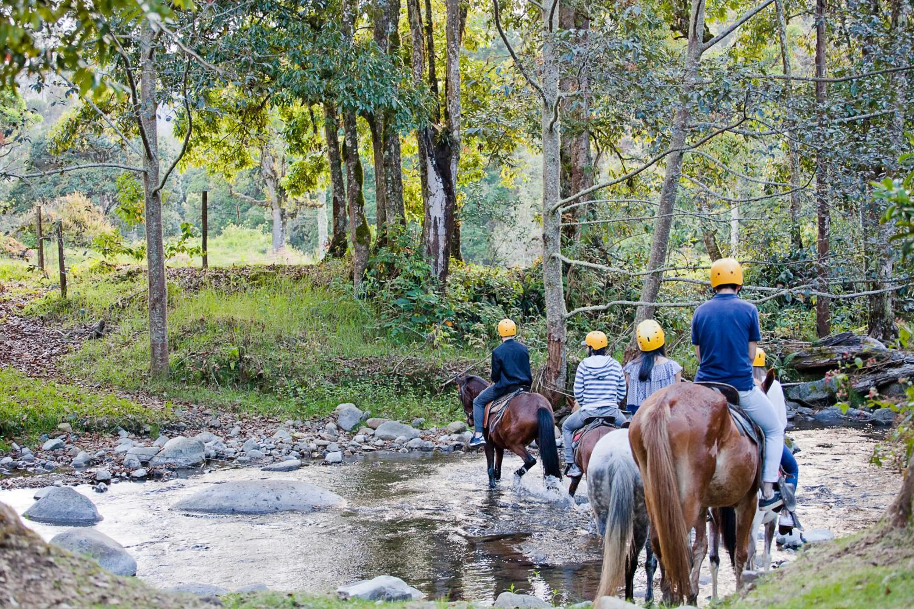 Activities in Savegre Hotel Natural Reserve & Spa