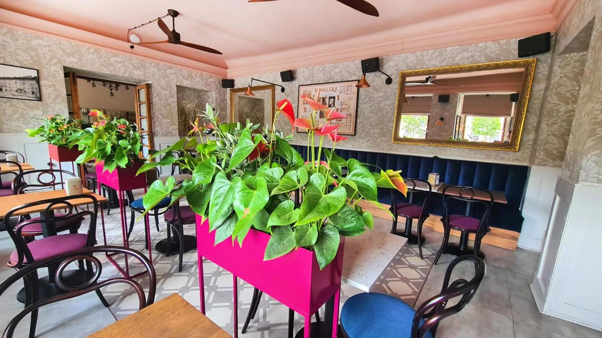 Restaurant/places to eat in Pollera