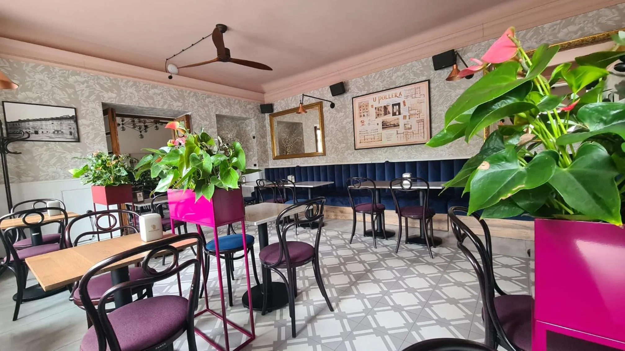 Restaurant/places to eat in Pollera