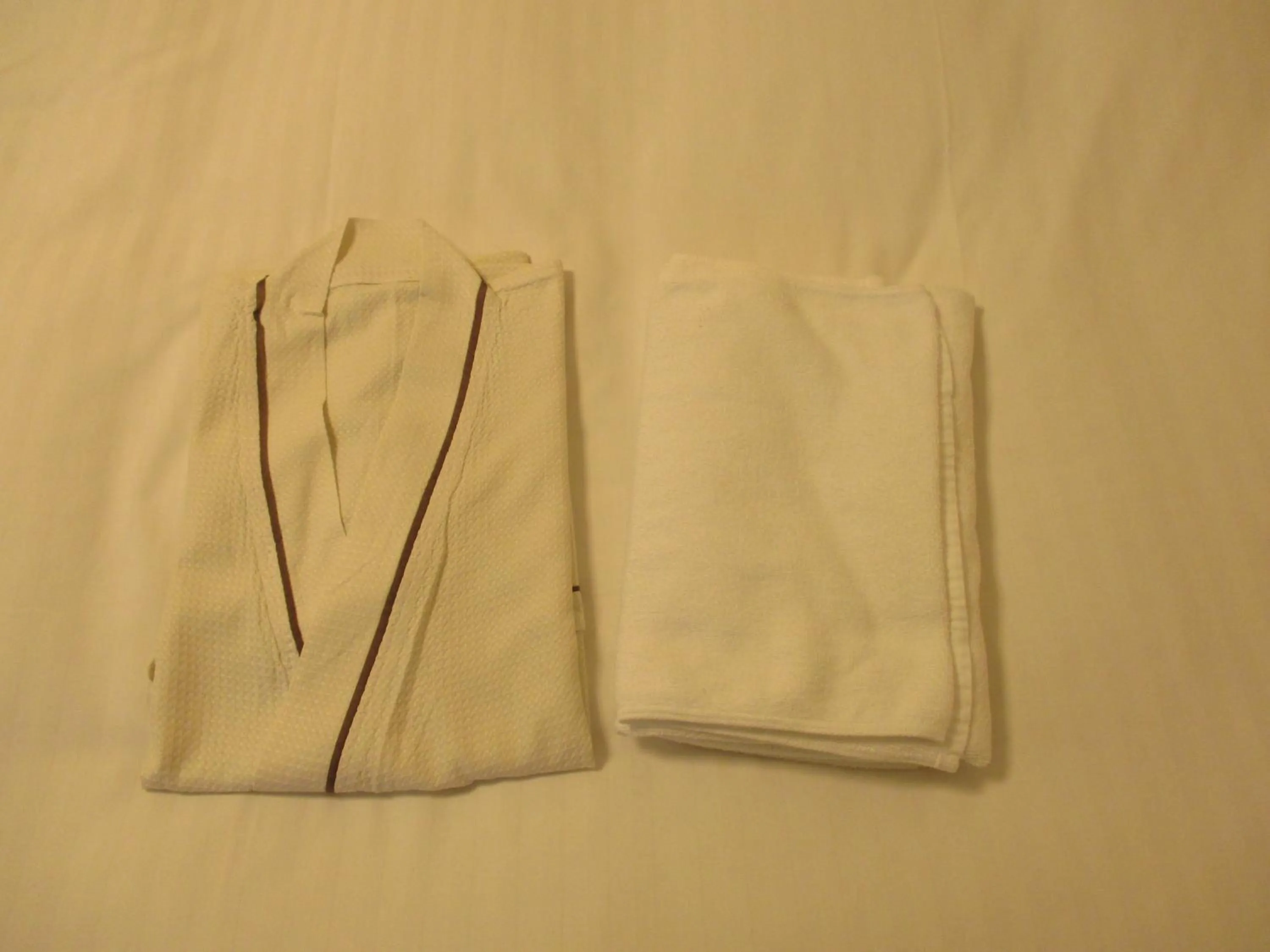 Other in Hotel Green Well