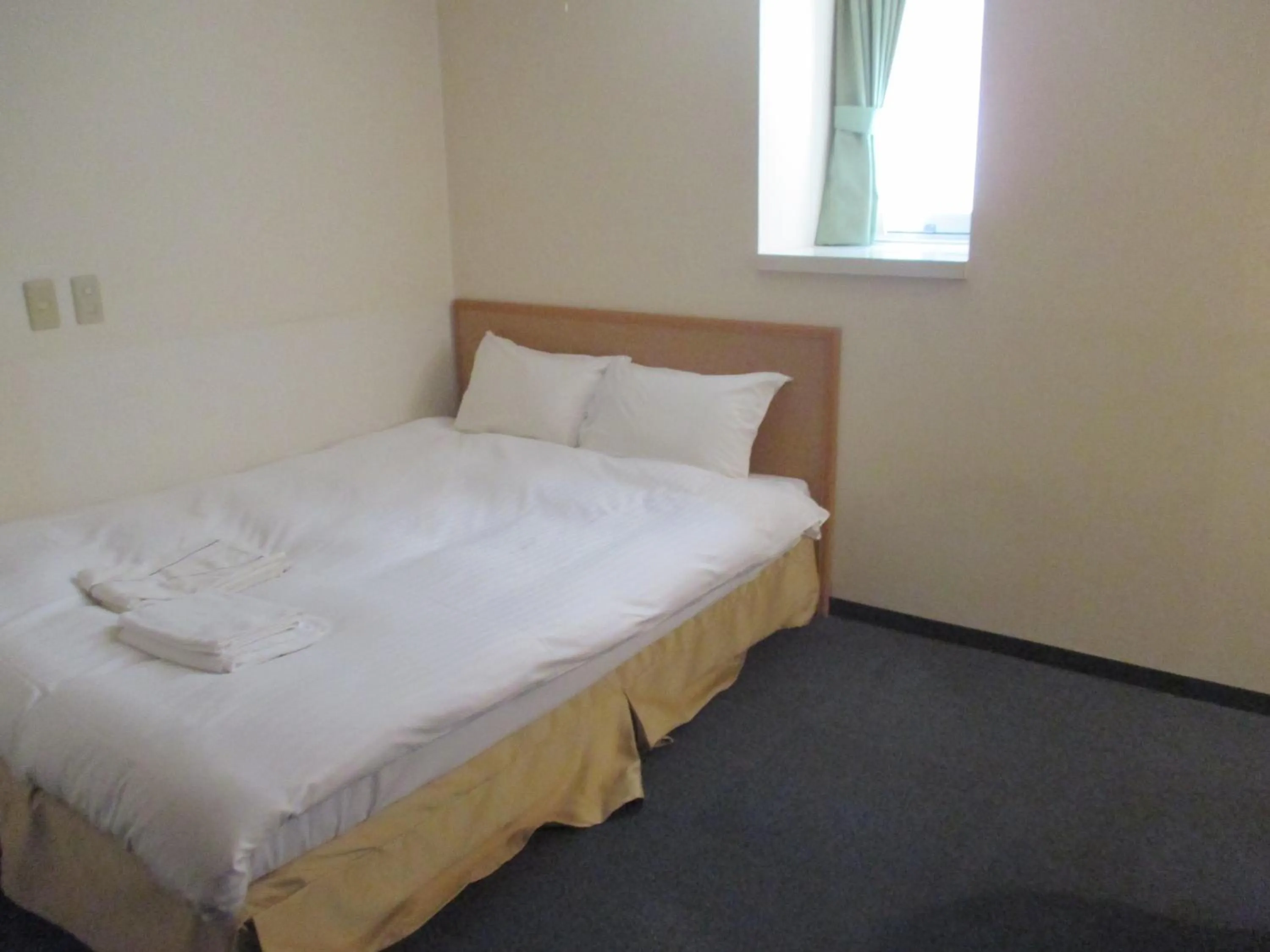 Bed in Hotel Green Well