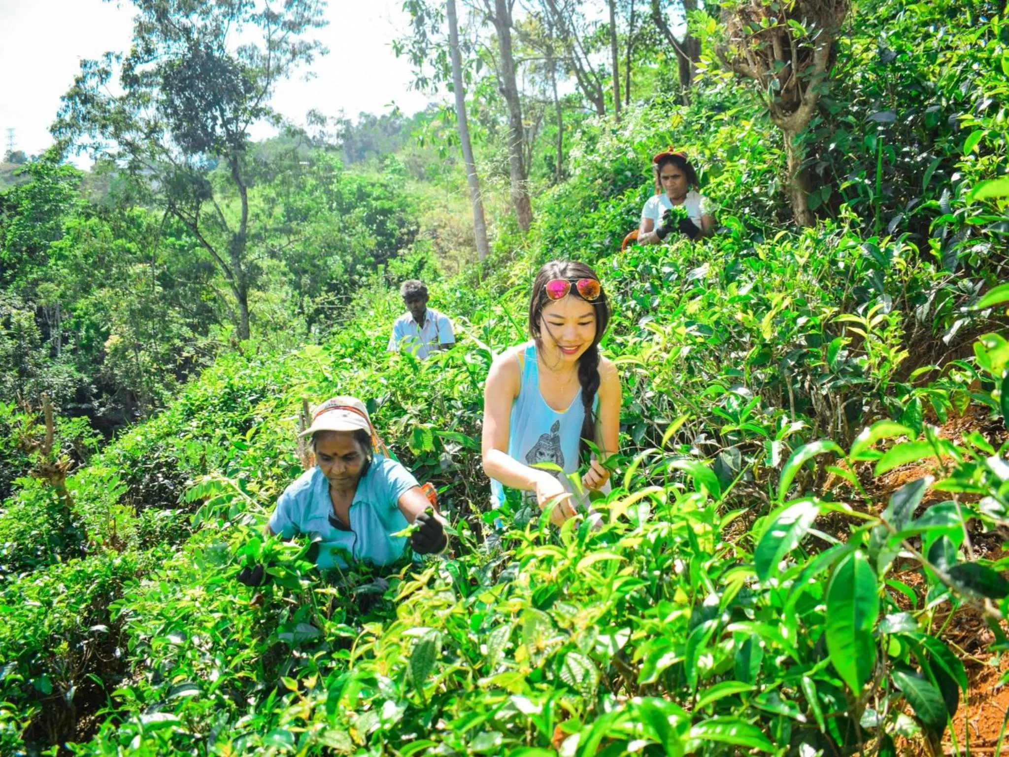 Activities in Aqua Dunhinda Villa