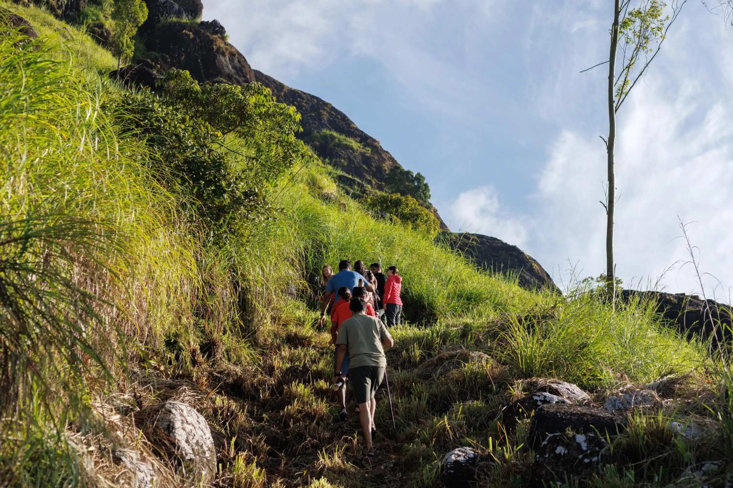 Activities in Amber Dale Luxury Hotel & Spa, Munnar