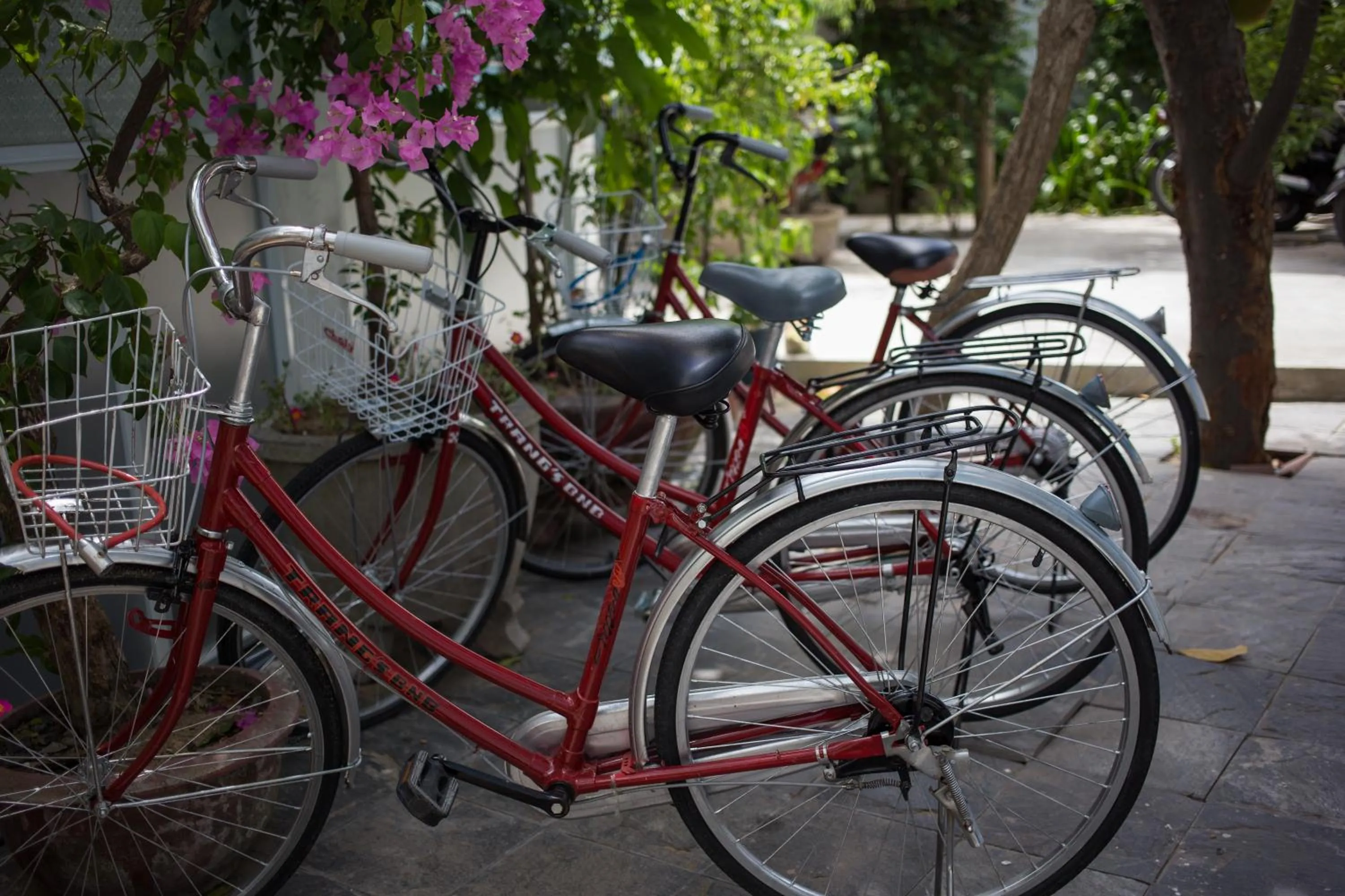 Activities in Quynh Long Villa