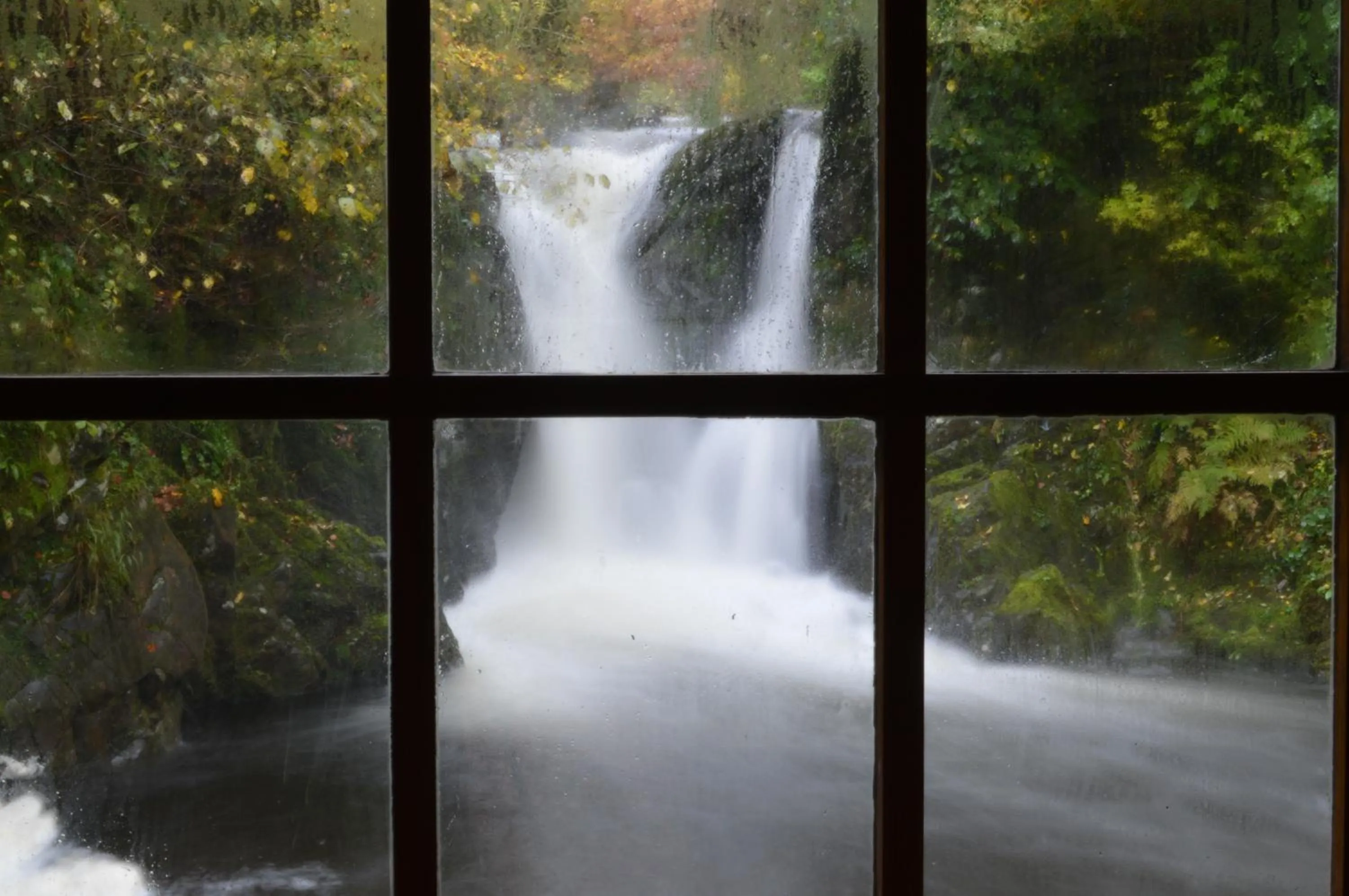 Hiking in Ellerbrook House