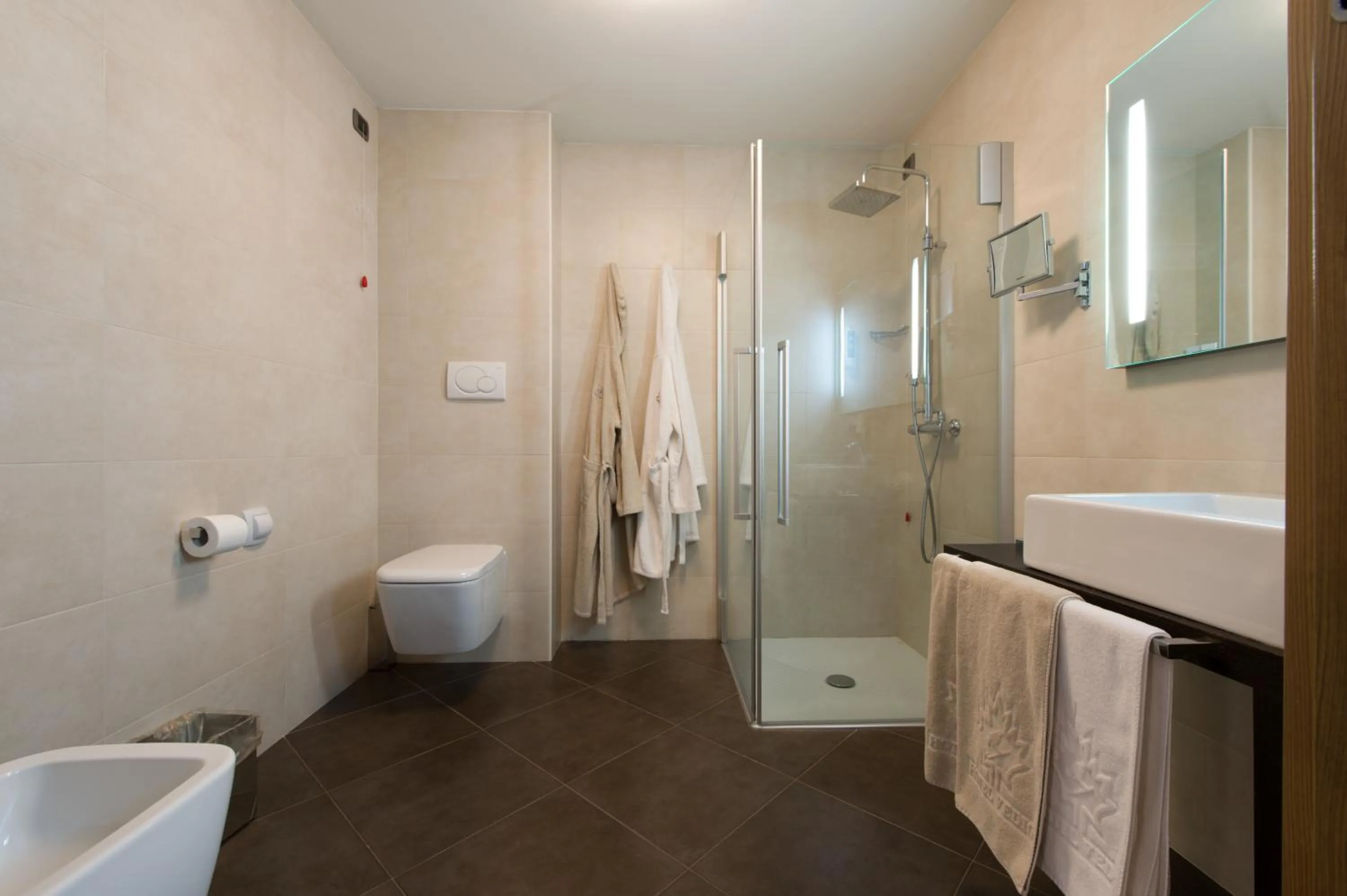 Bathroom in Hotel Vedig