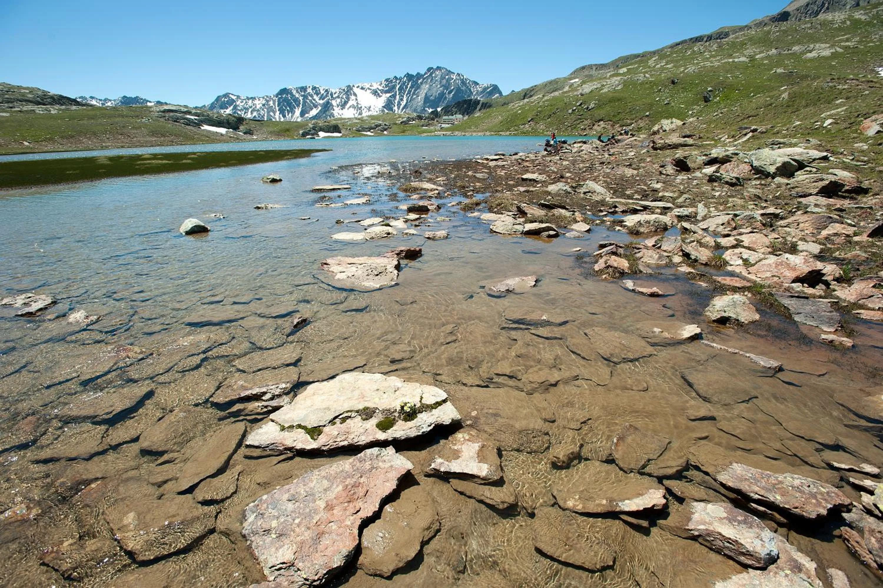 Area and facilities in Hotel Vedig