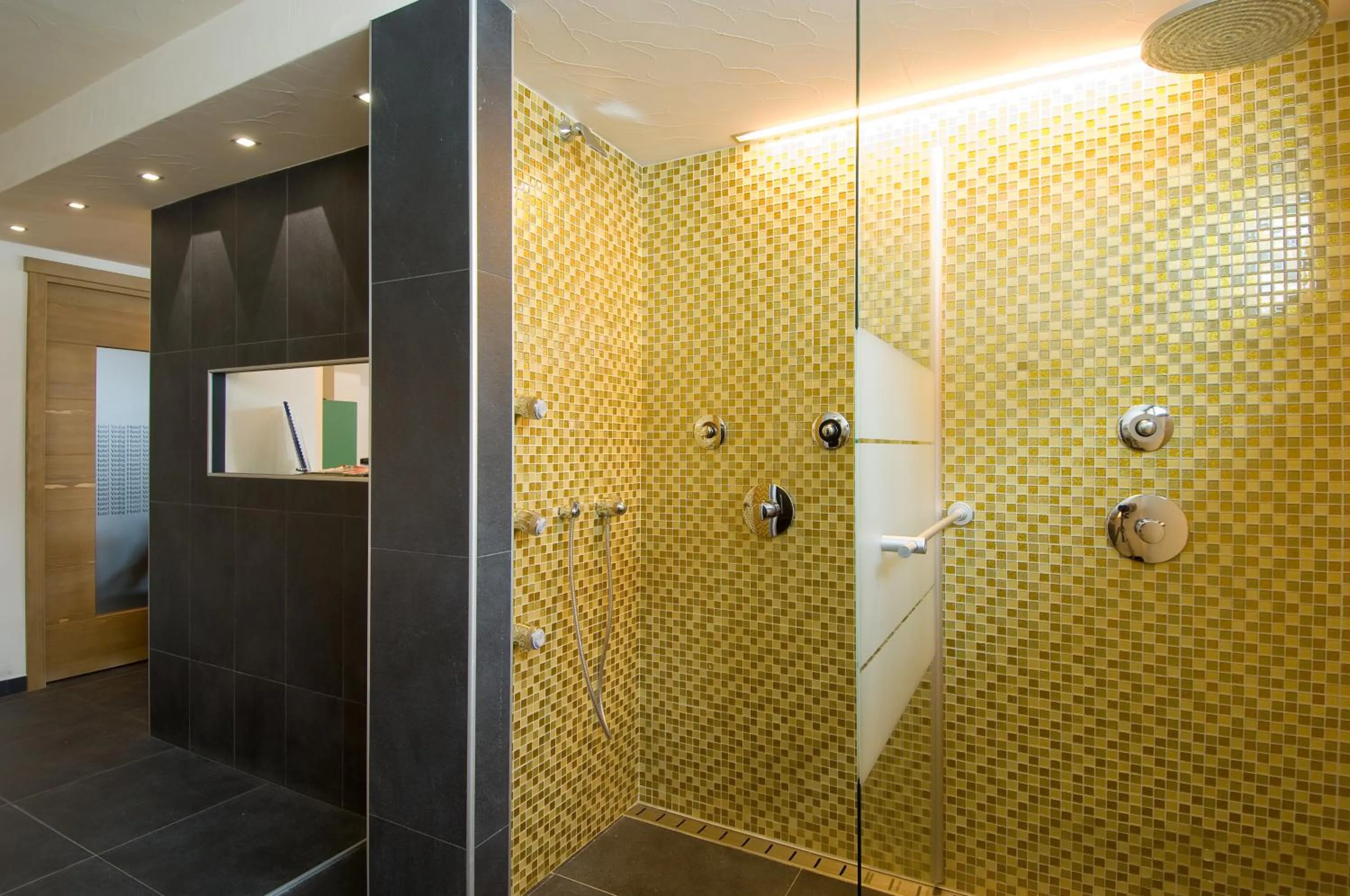 Spa and wellness centre/facilities in Hotel Vedig