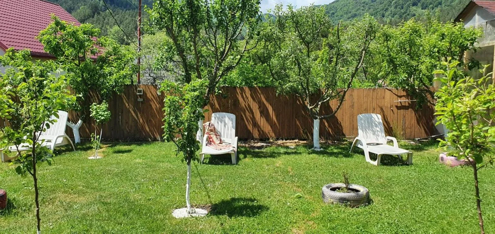 Garden in Casa de Vacanta Neagu