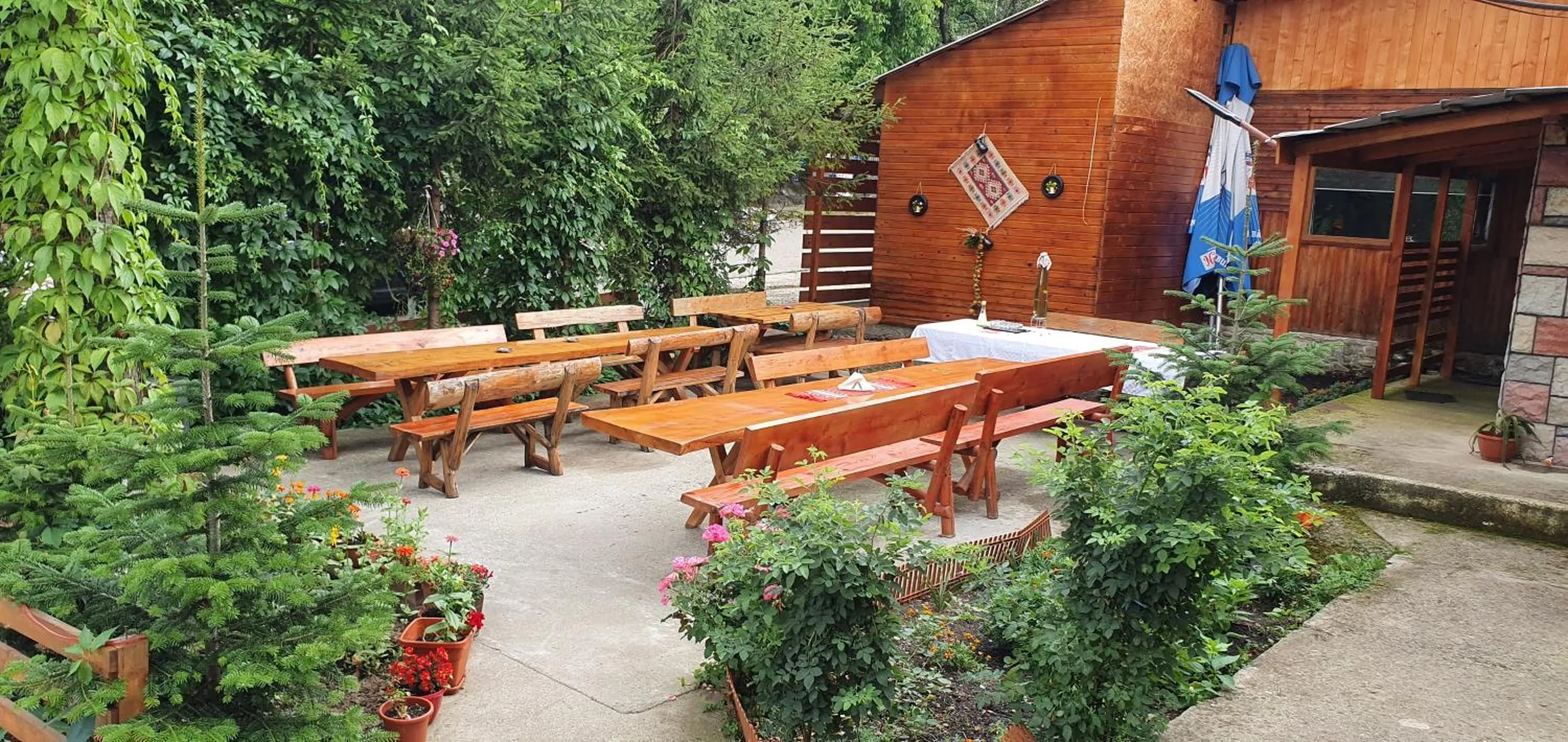 Casa de Vacanta Neagu