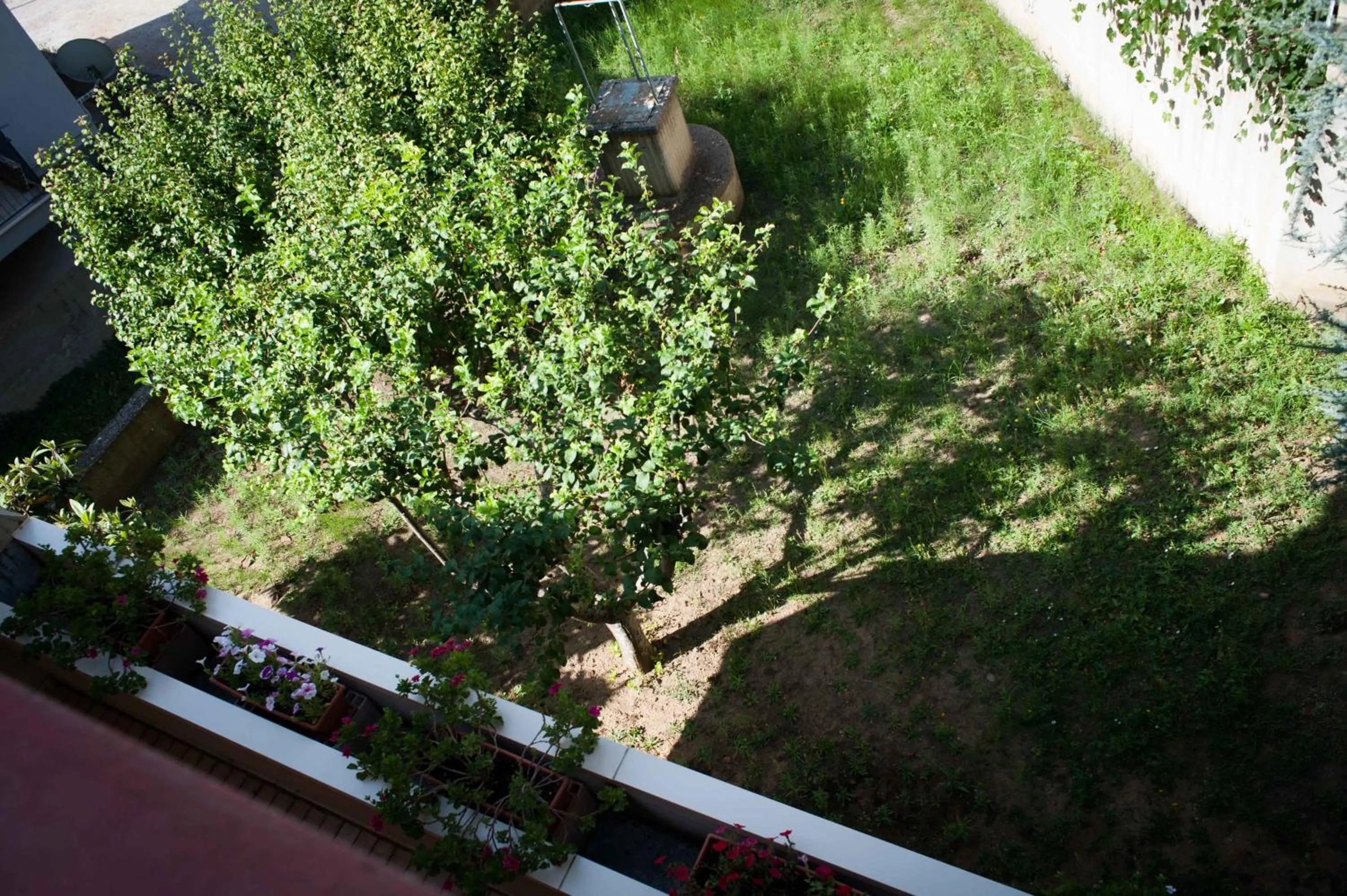 Other in Casa Papapietro