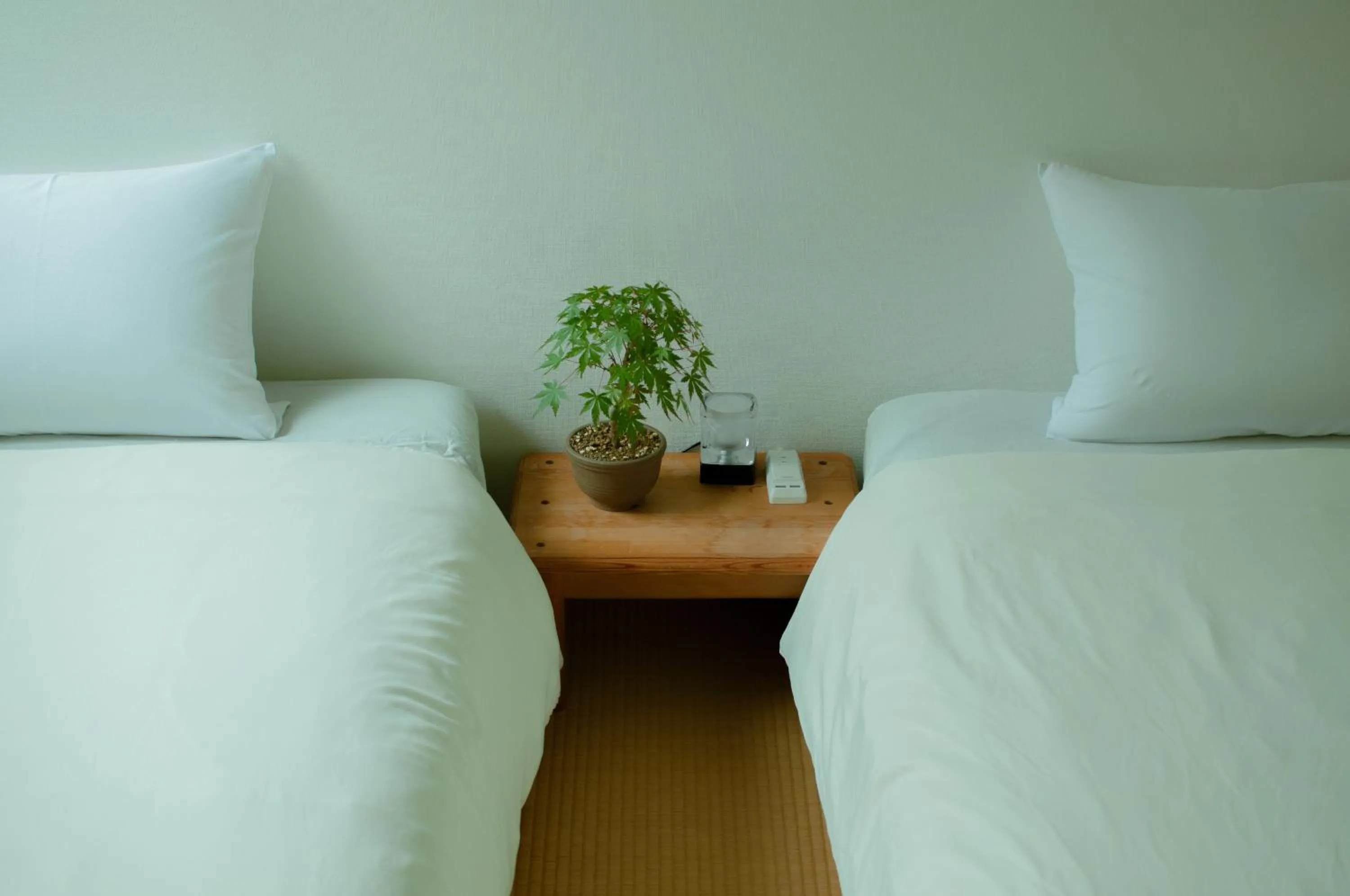 Bedroom, Bed in Hostel Mt. Fuji - FUKUYA