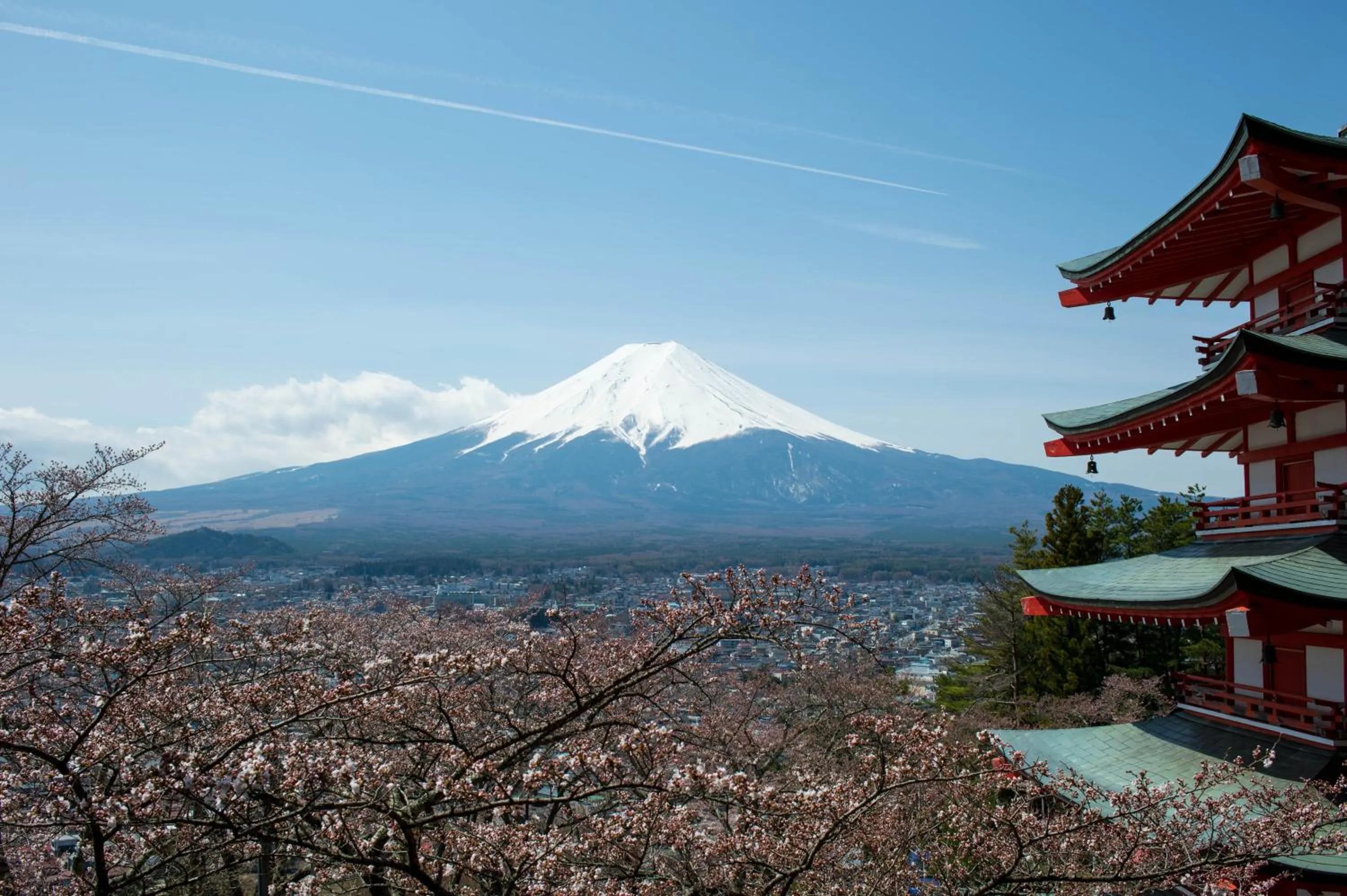 Natural landscape in Hostel Mt. Fuji - FUKUYA